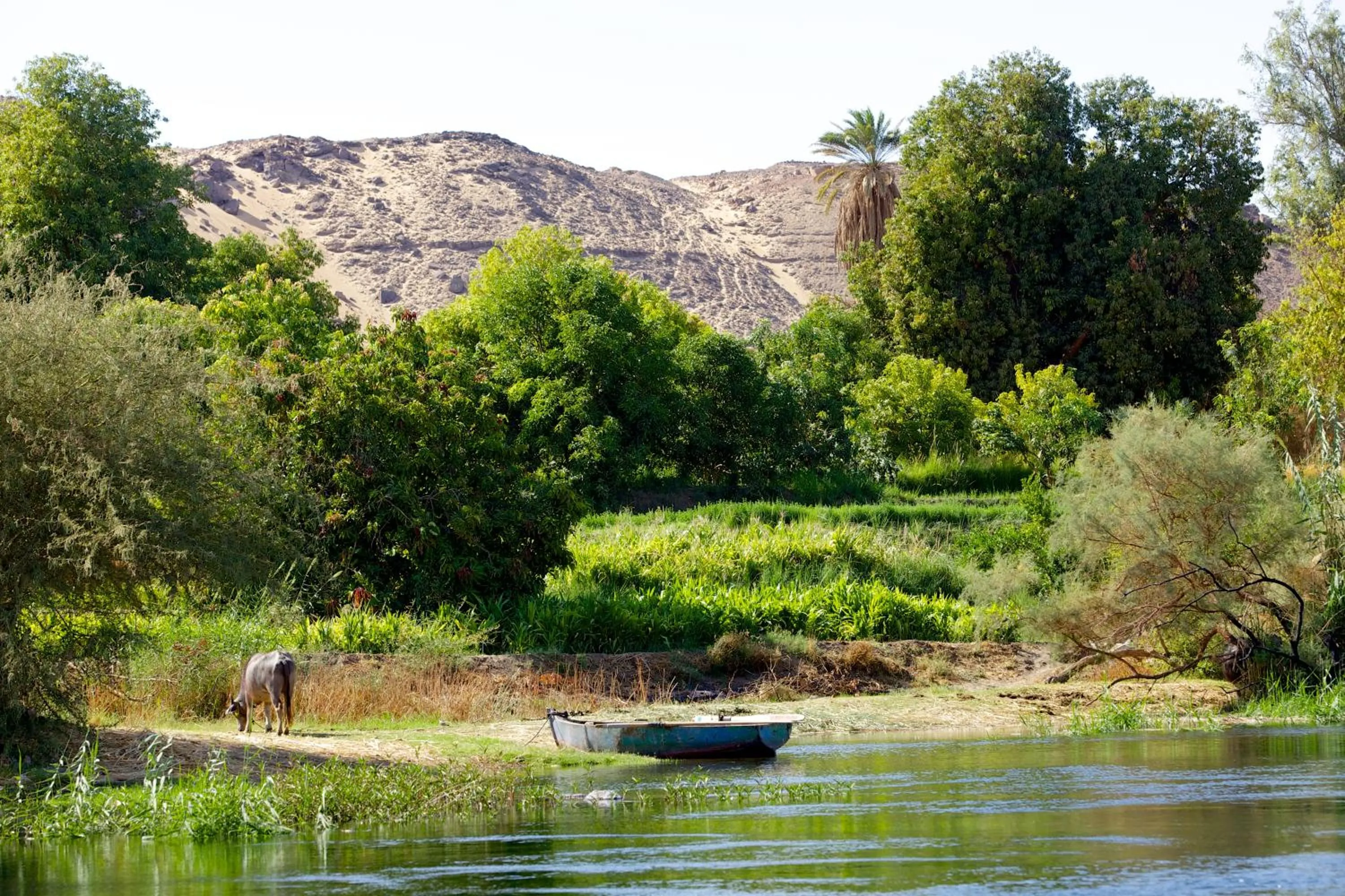 Hadouta Masreya Nubian Guest House