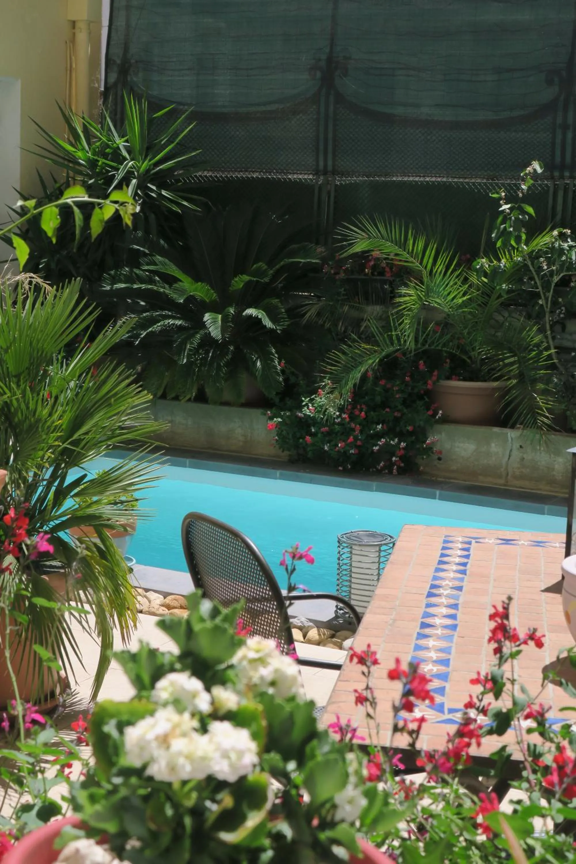 Garden in B&B Le Patio En Ville - Chambres d'hôtes