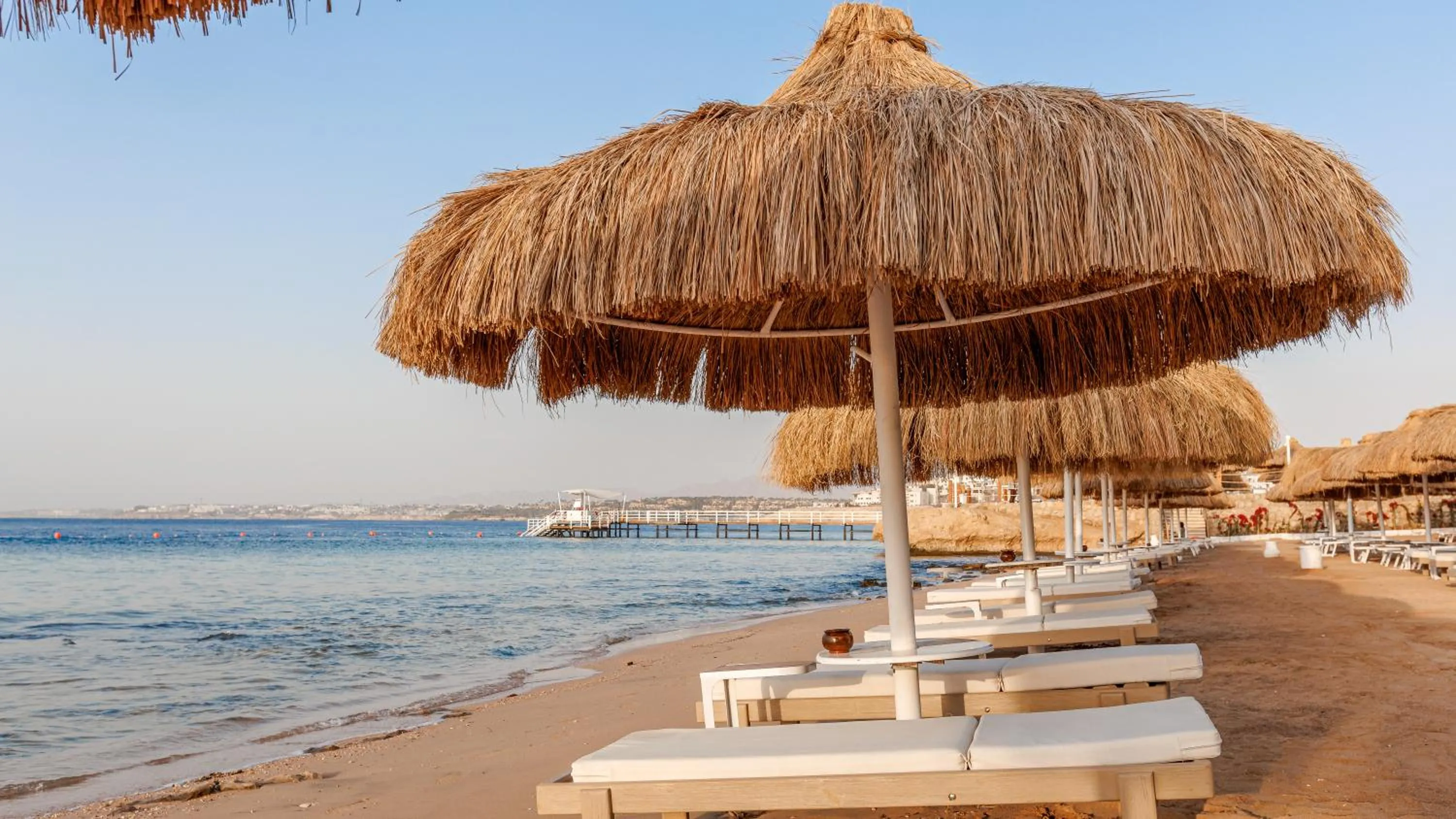 Beach in Sunrise Remal Beach Resort