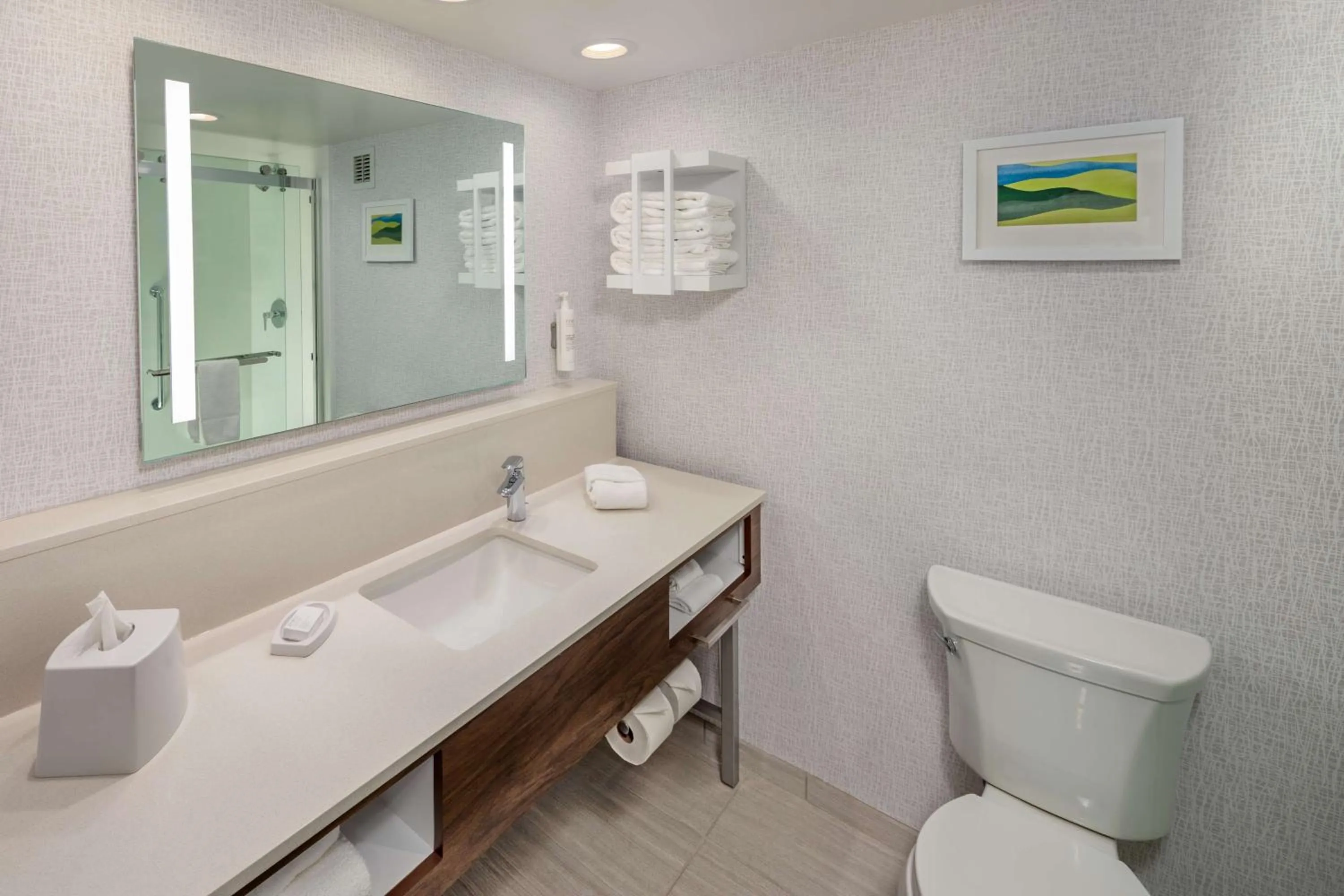 Bathroom in Hampton Inn Asheville-Tunnel Road