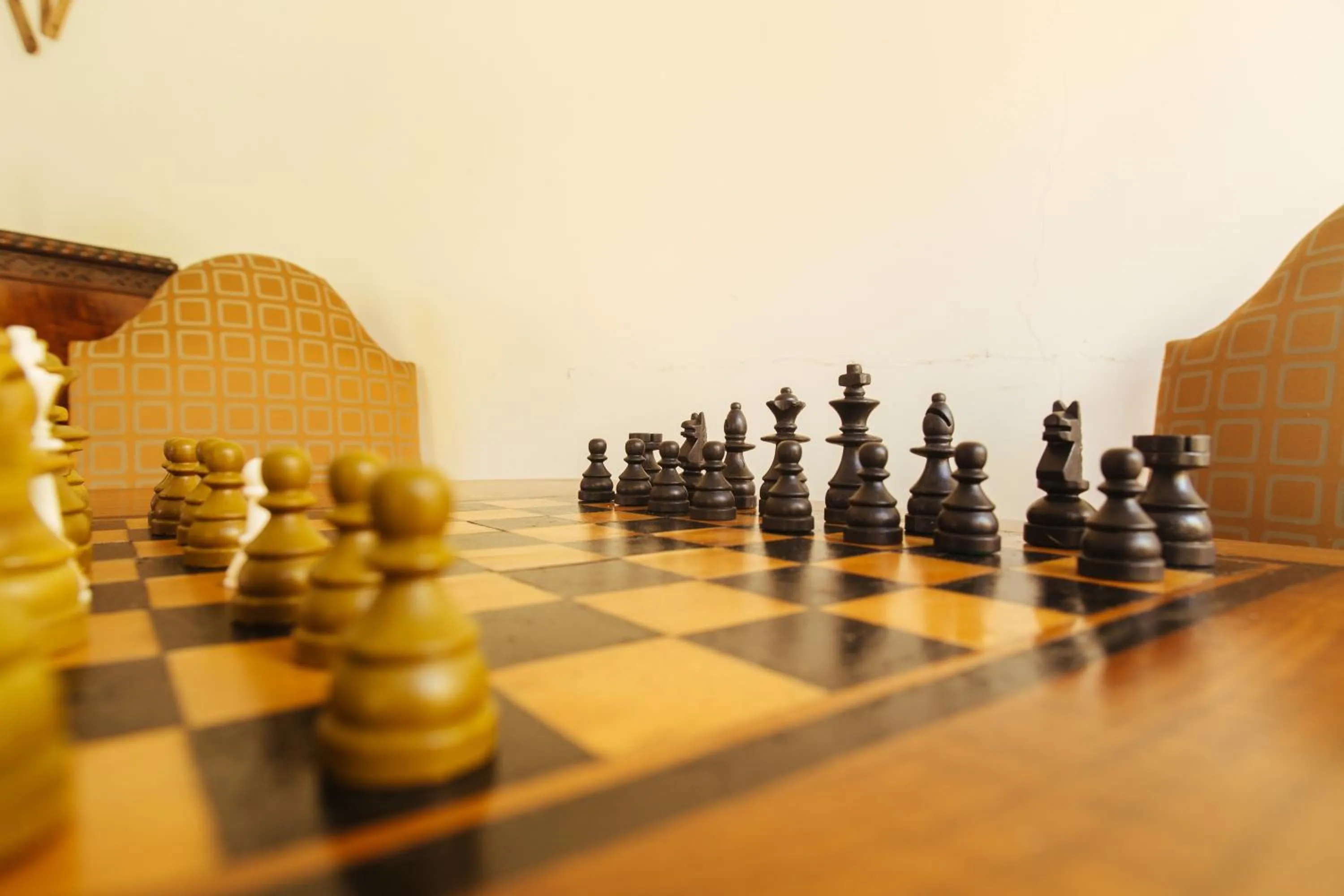 Activities in Barradas Parque Hotel & Spa