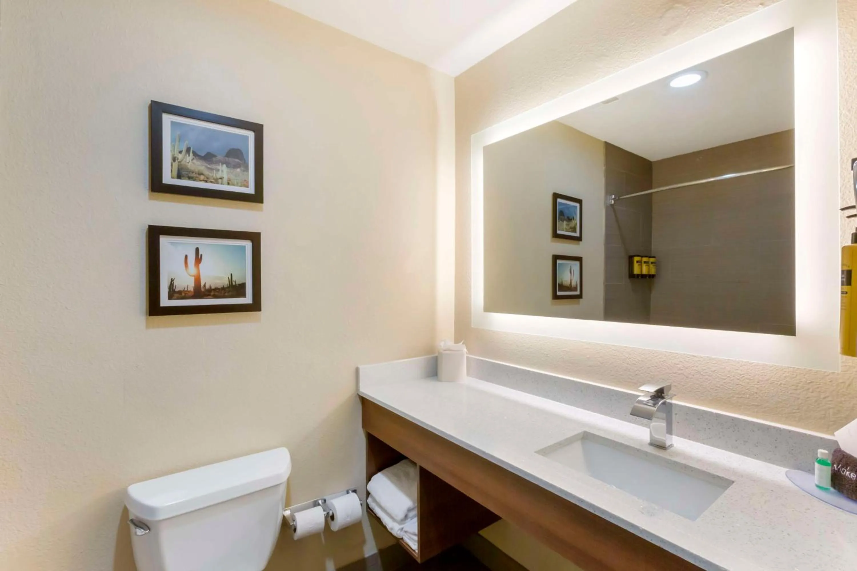 Bathroom in Best Western Plus Surprise-Phoenix NW