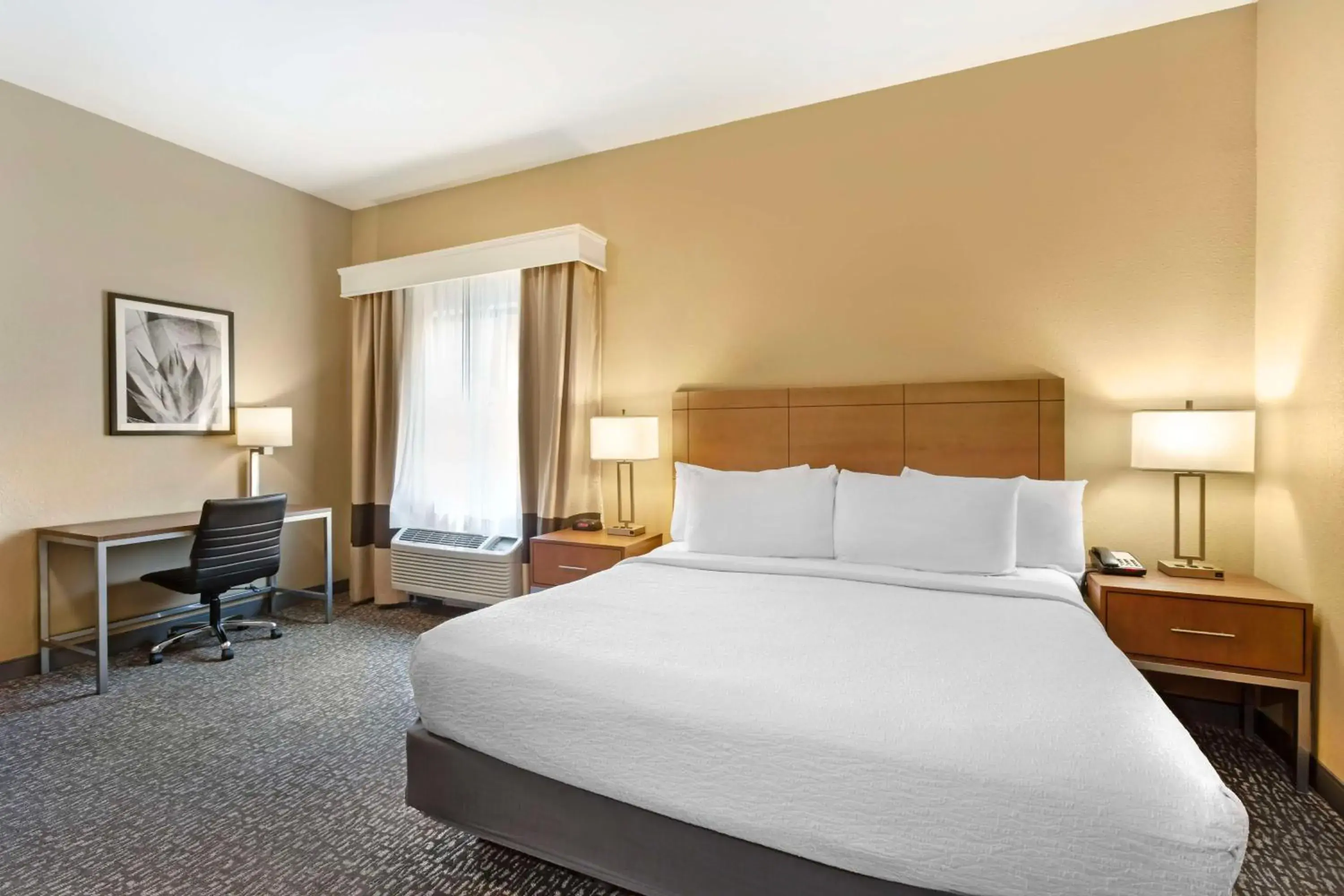 Bedroom, Bed in Best Western Plus Surprise-Phoenix NW Bedroom, Bed in Best Western Plus Surprise-Phoenix NW