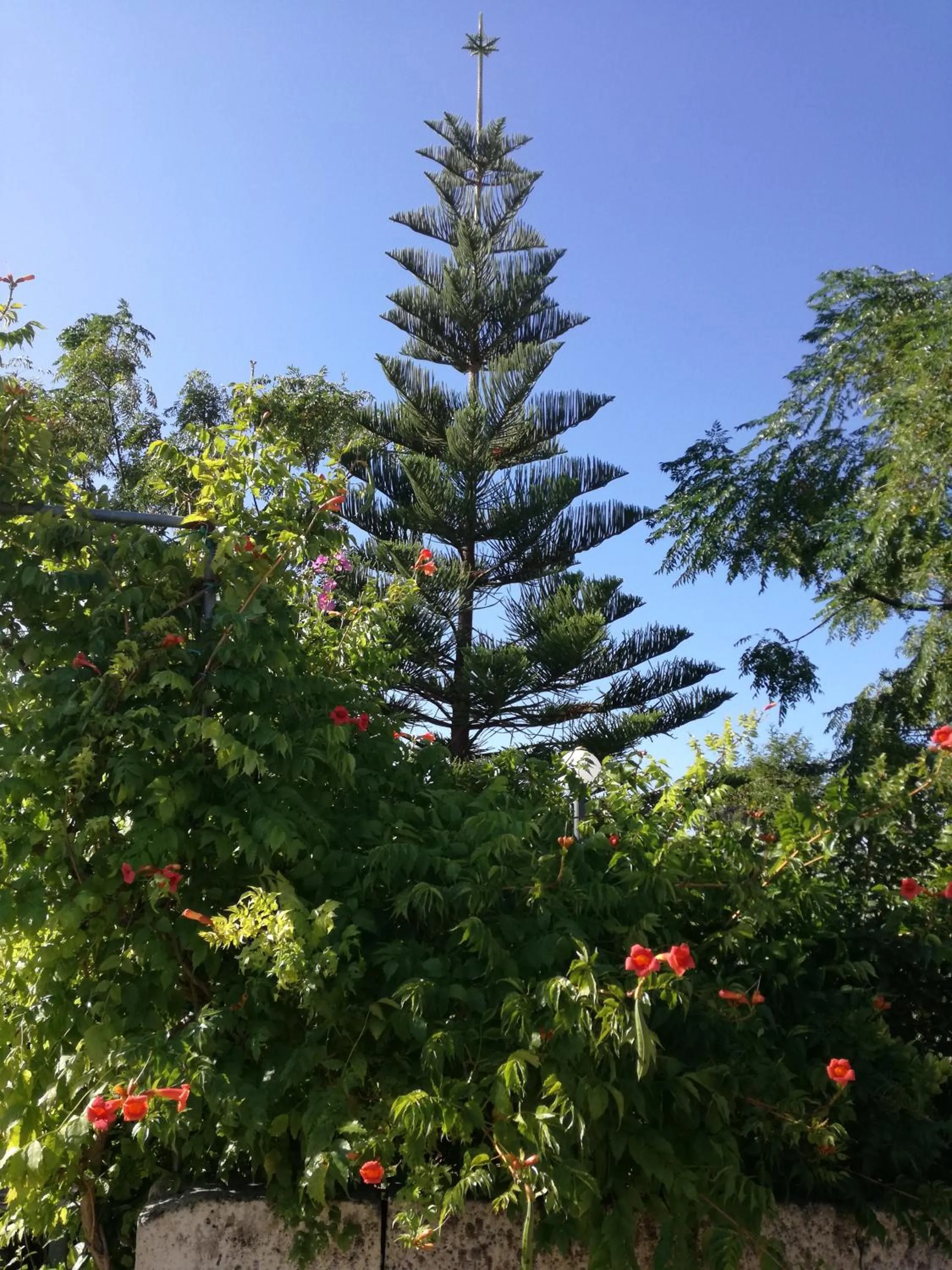 La Lanterna delle Fate