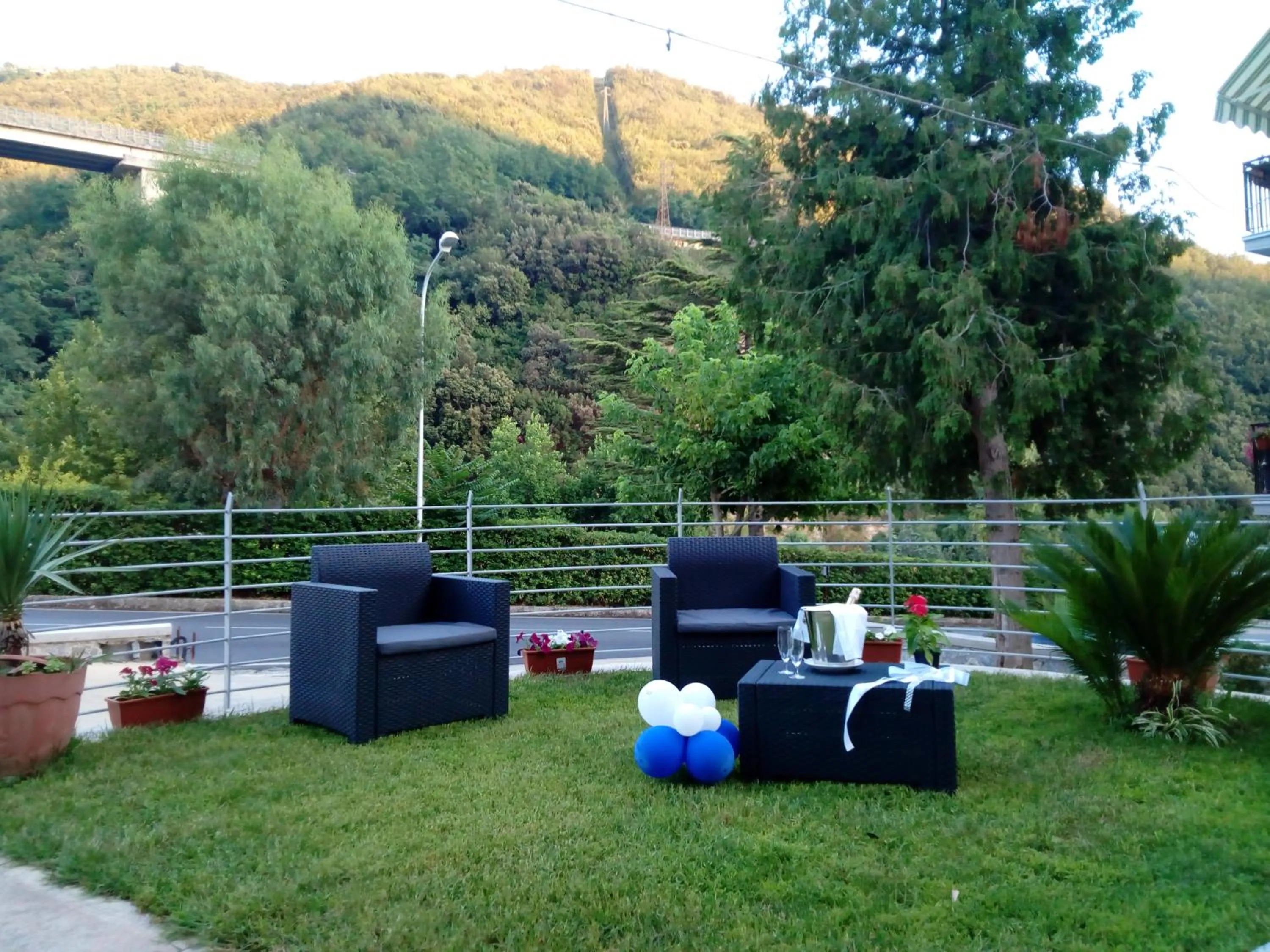 Garden in Hotel Rodian
