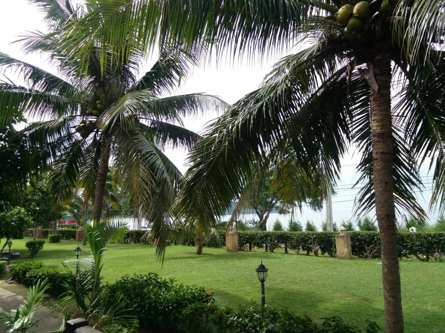 Garden in Sailom Resort Bangsaphan