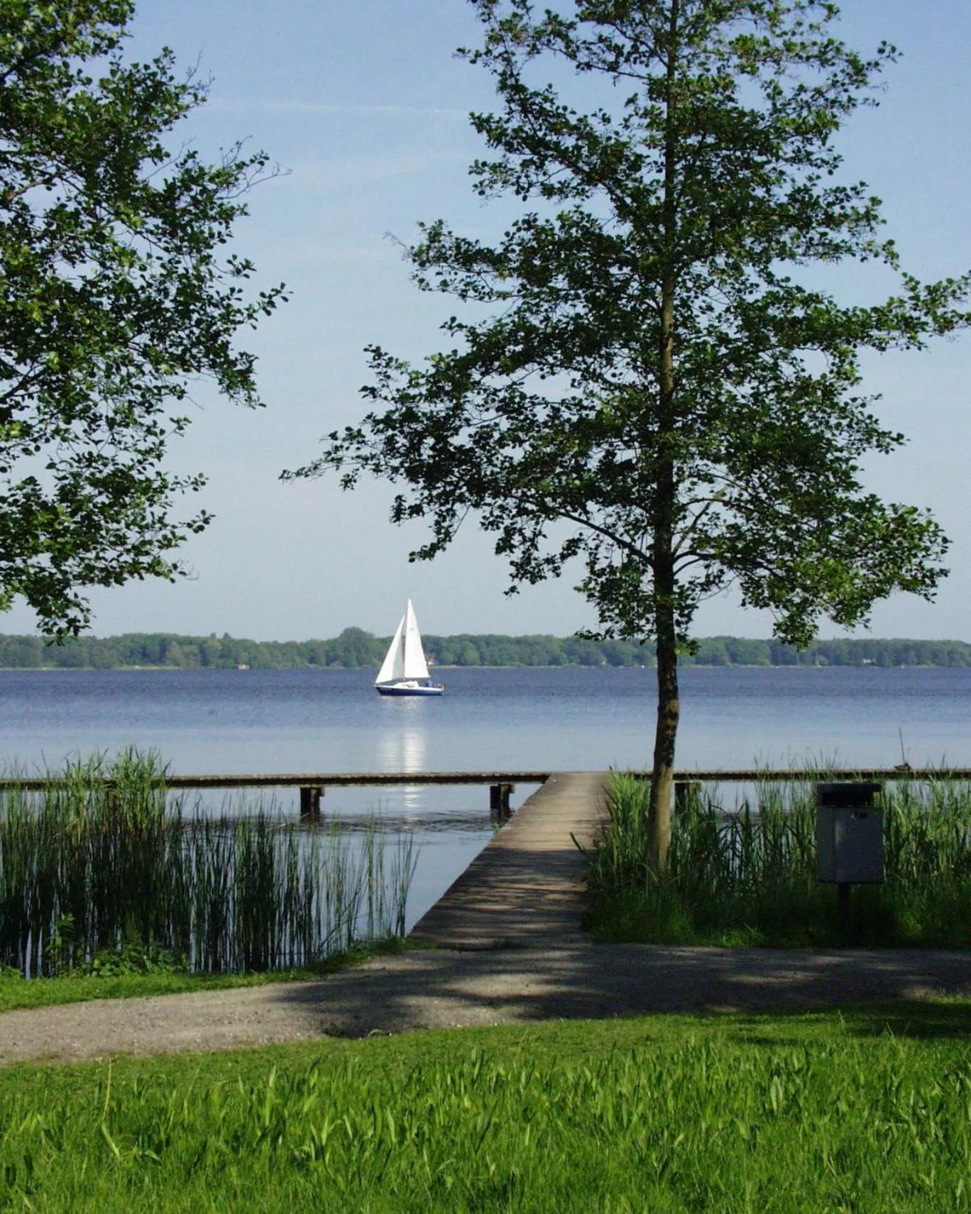 Area and facilities in Hotel Chalet