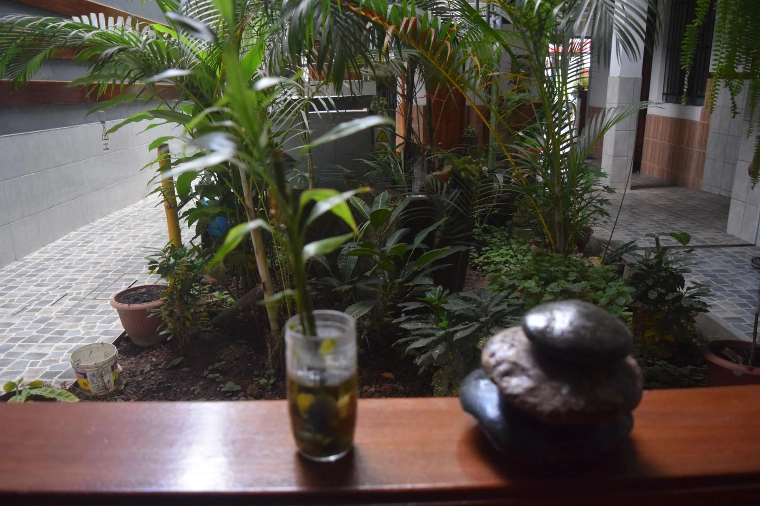 Garden in Hotel Rulman