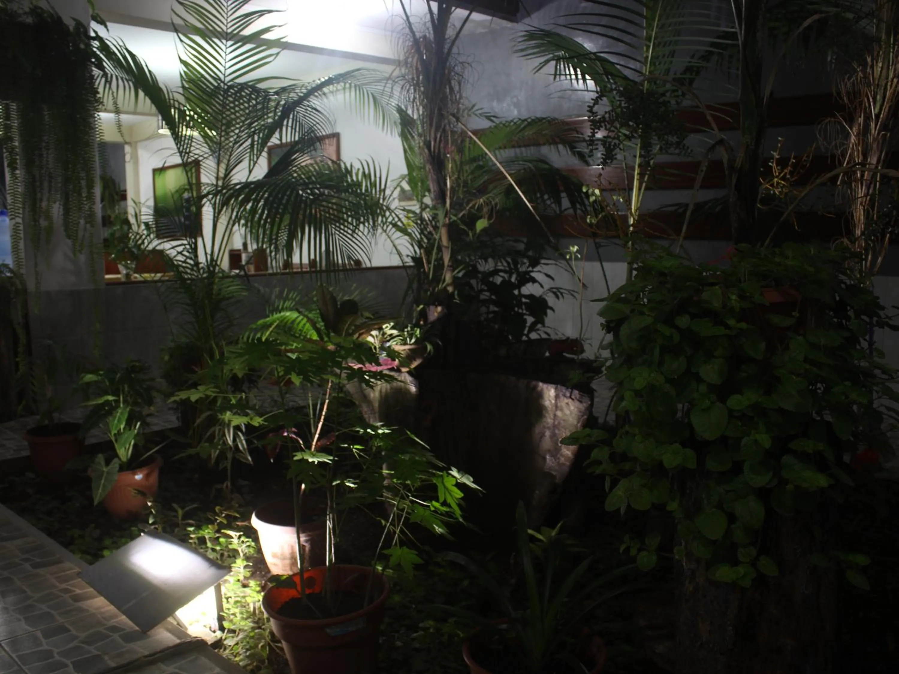 Garden in Hotel Rulman