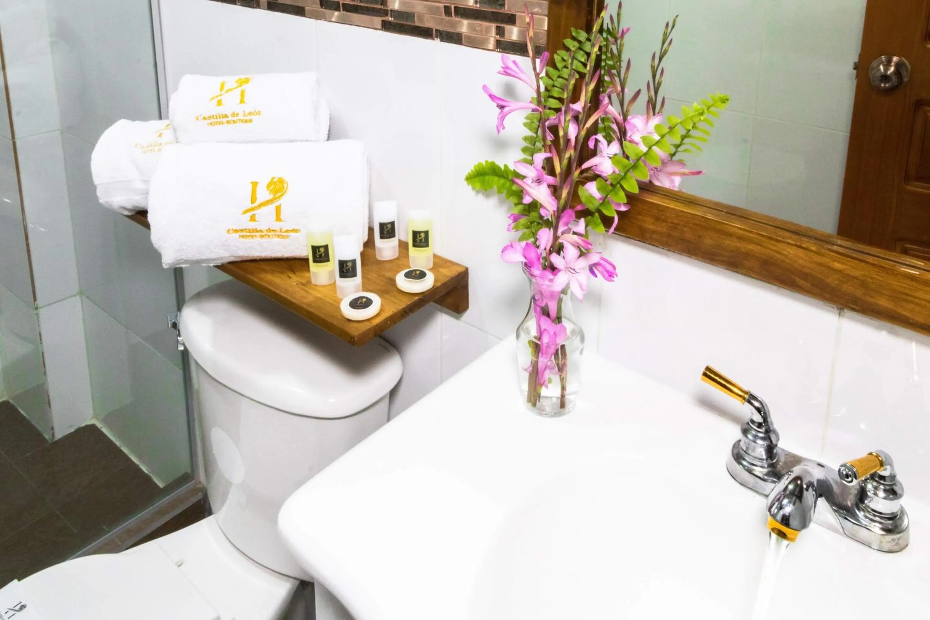 Toilet in Hotel Boutique Castilla de Leòn