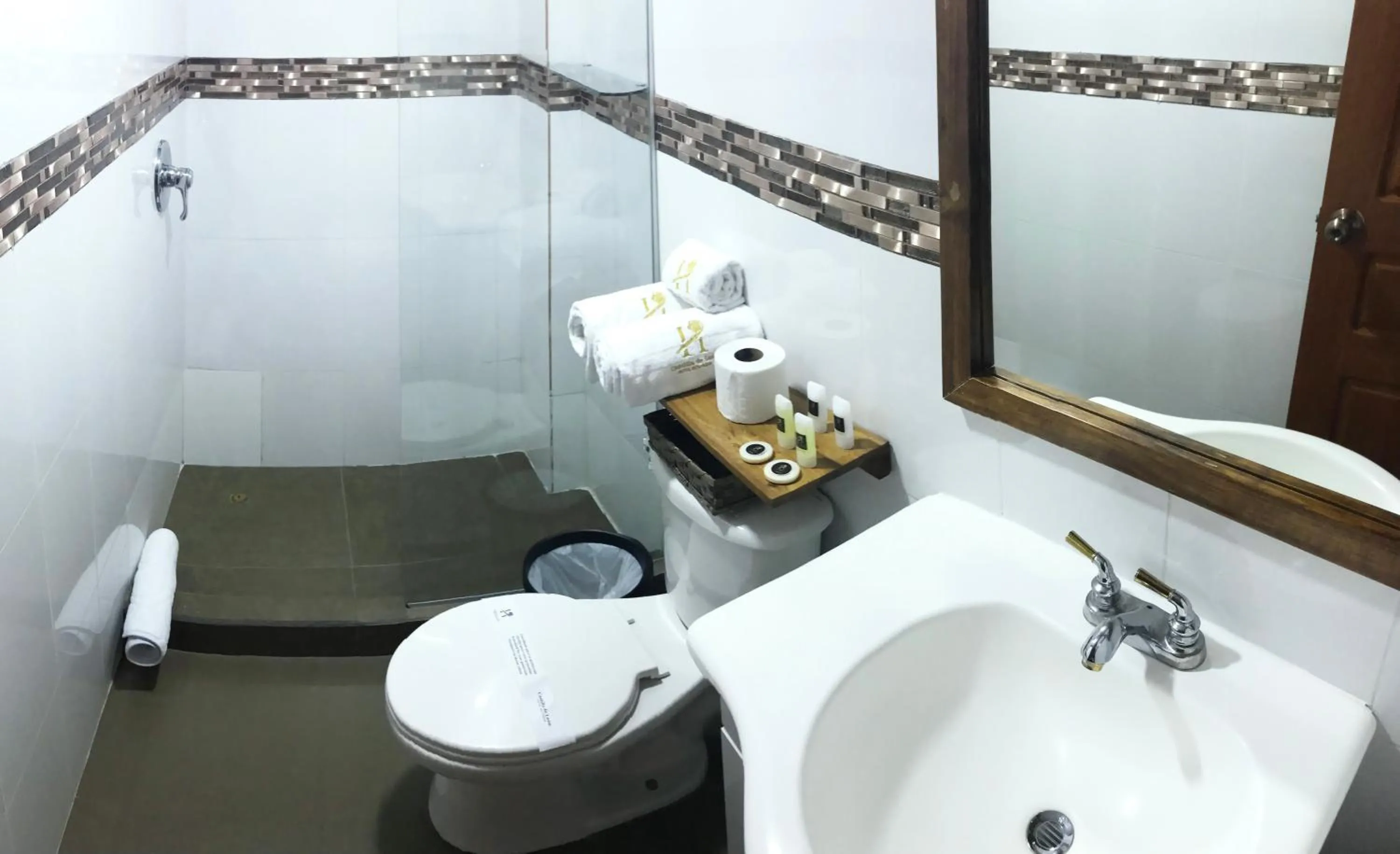 Shower in Hotel Boutique Castilla de Leòn