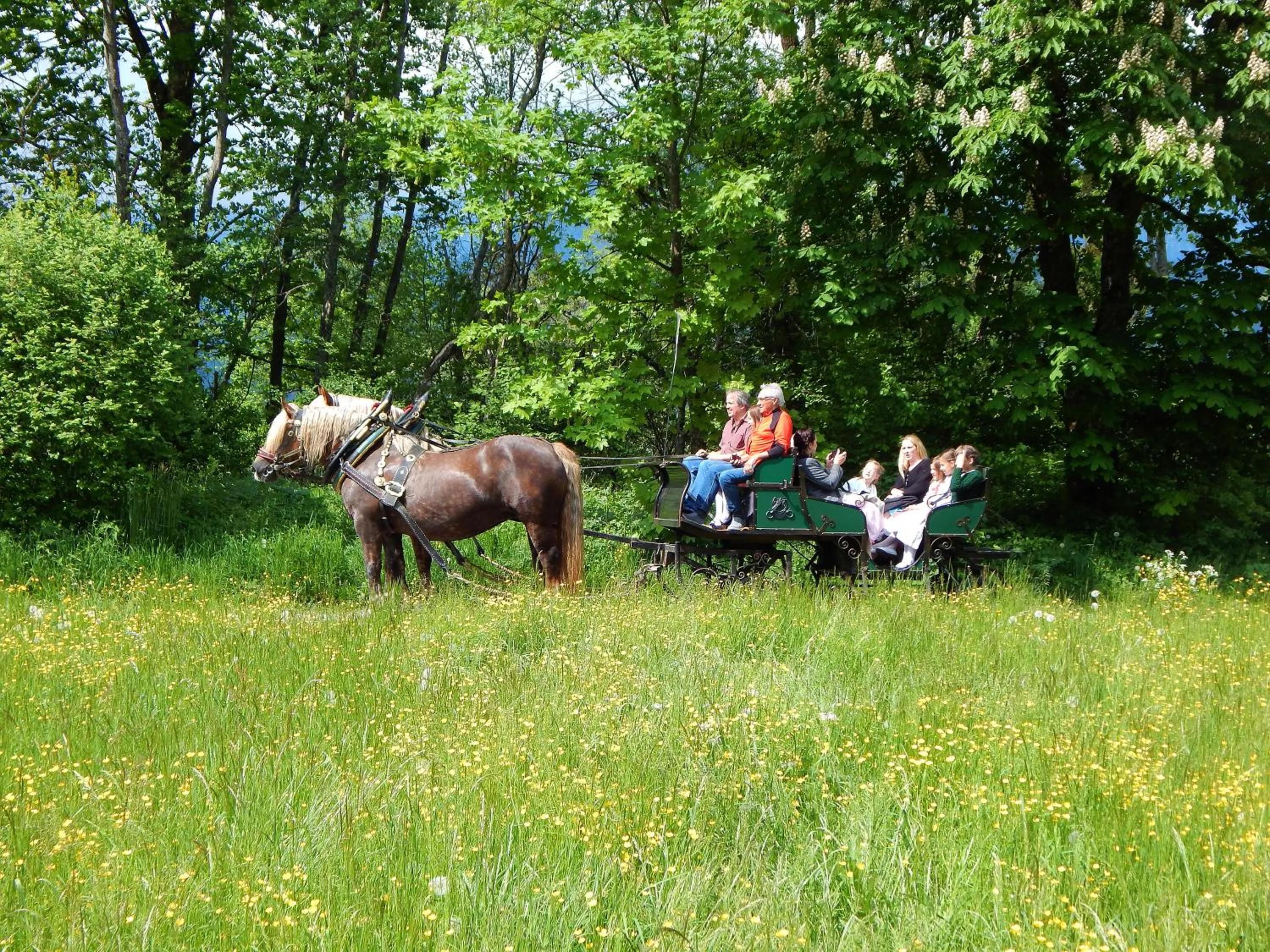 Landgasthof Buchner