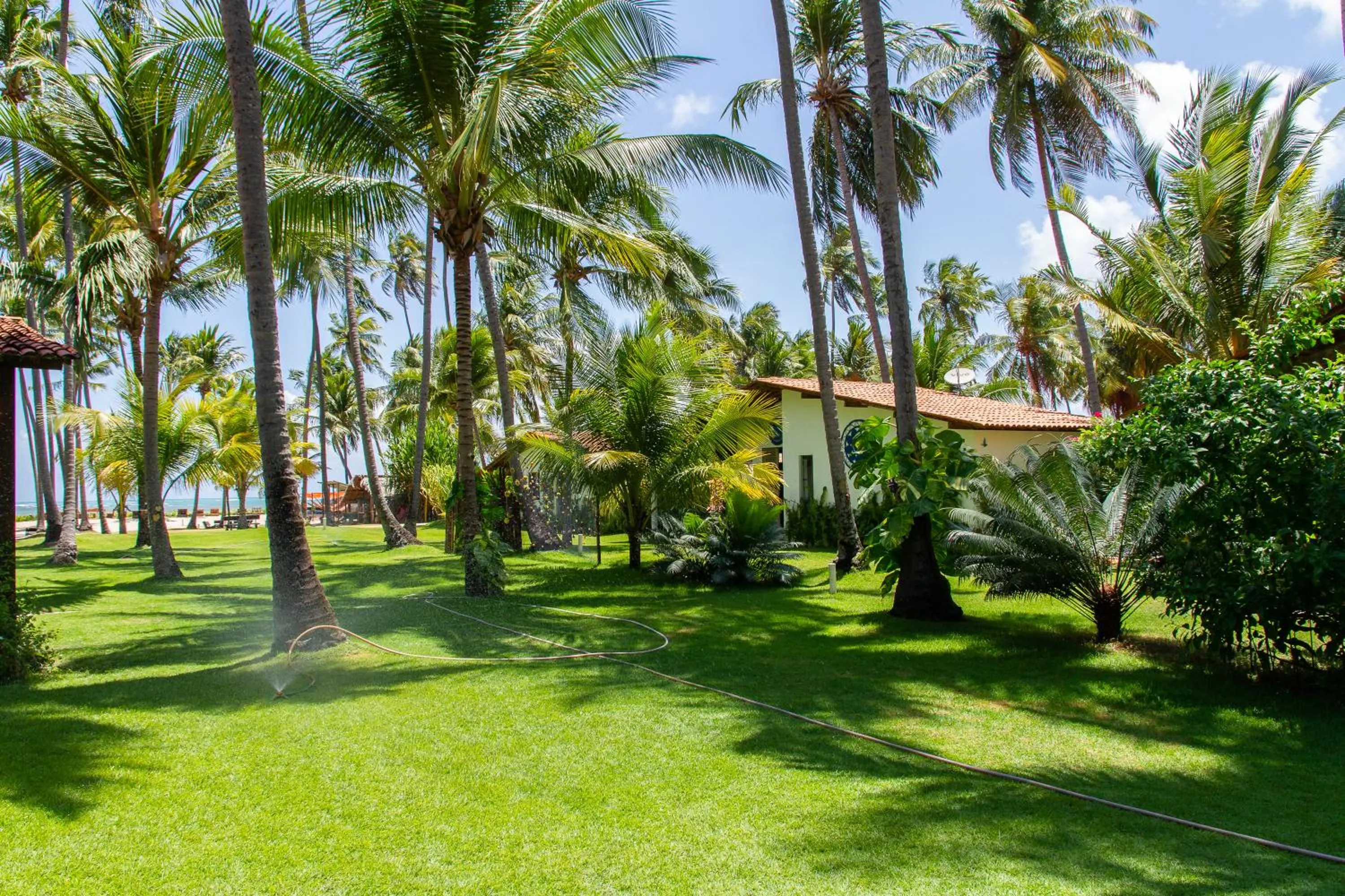 Day in Pousada Vila do Patacho