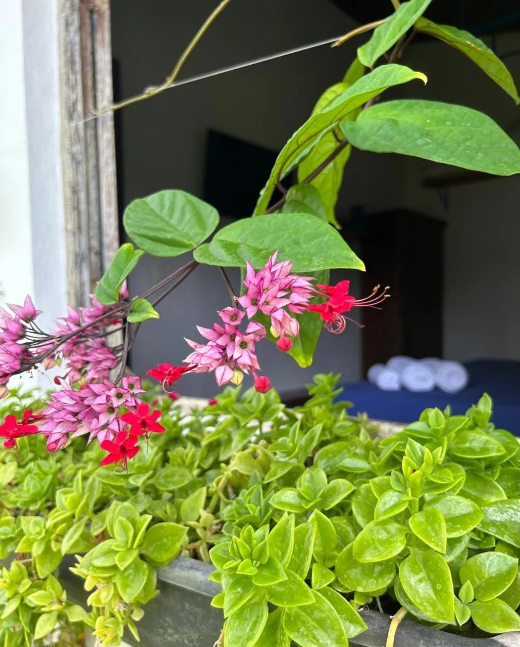 Bedroom in Pousada Vila do Patacho