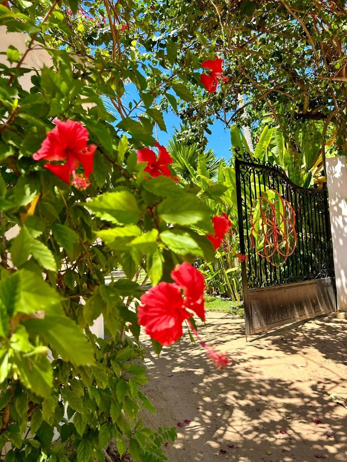 Facade/entrance in Pousada Vila do Patacho