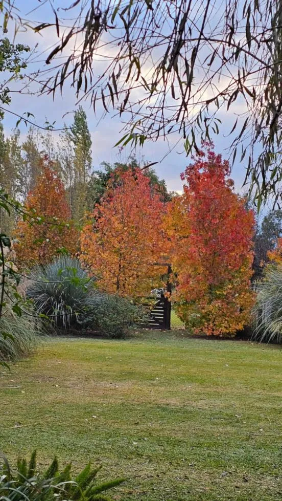 Garden in Posada del Santo Green & Rest - Cabañas