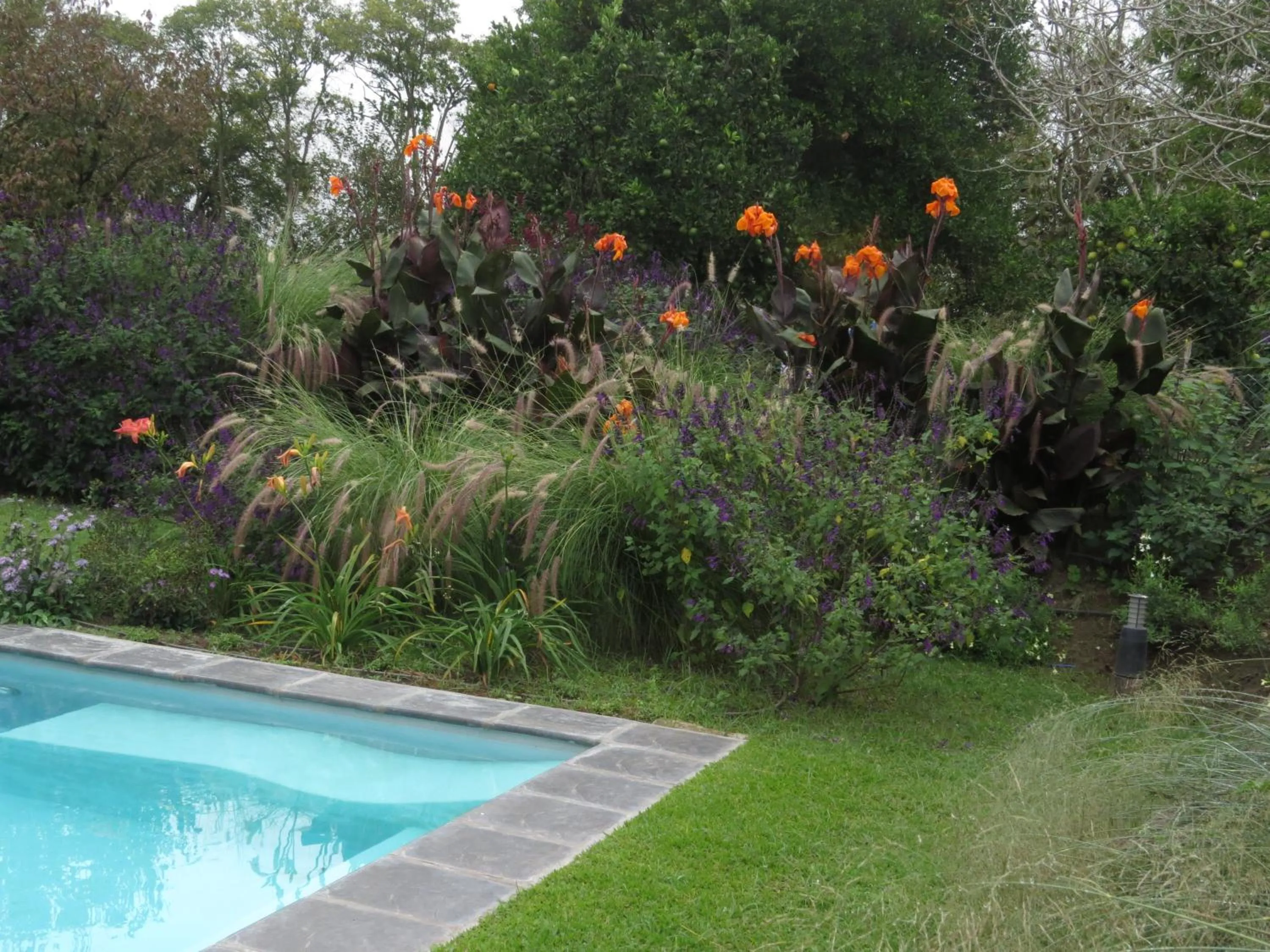 Garden view in Posada del Santo Green & Rest - Cabañas