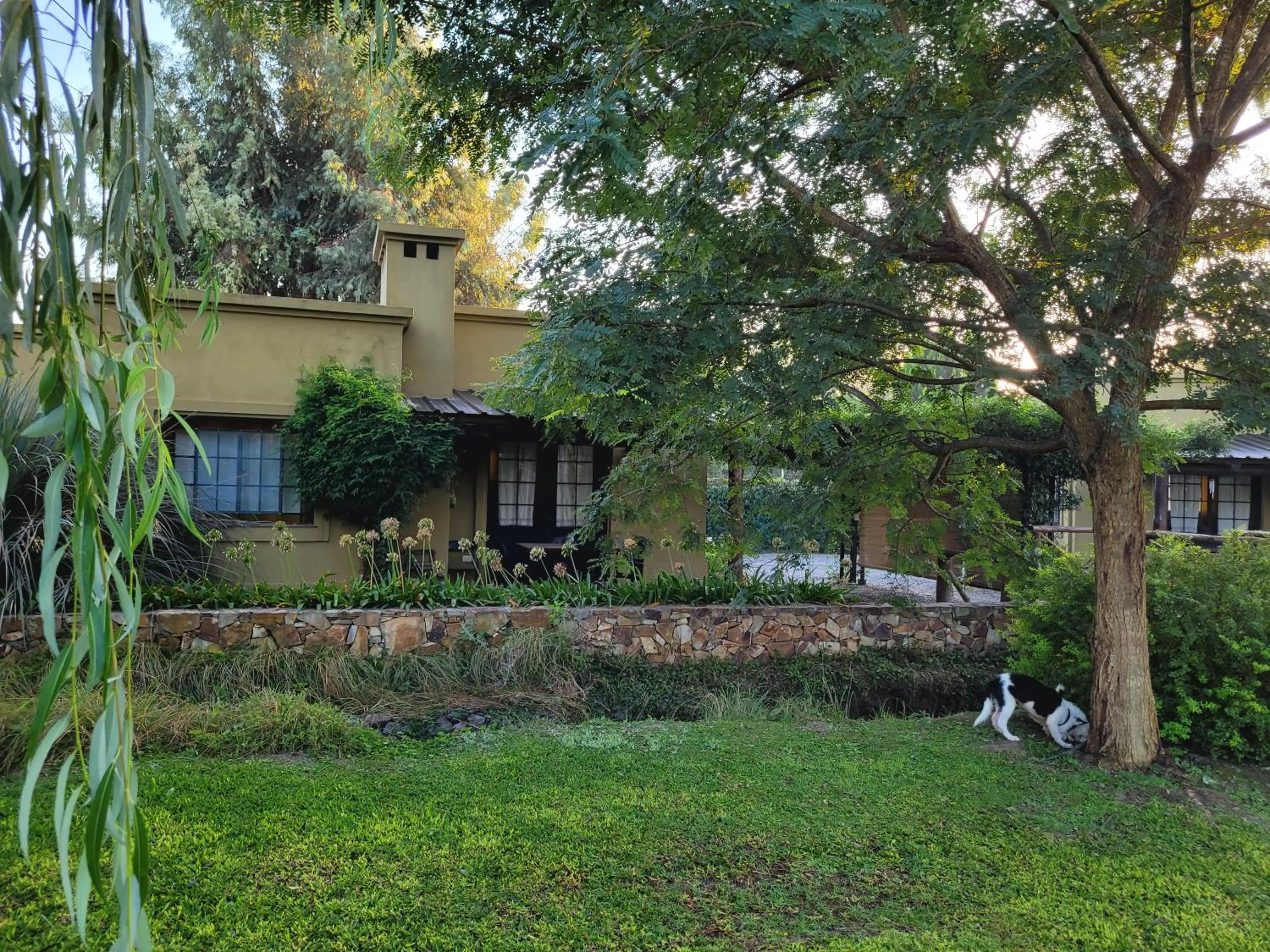 Garden in Posada del Santo Green & Rest - Cabañas