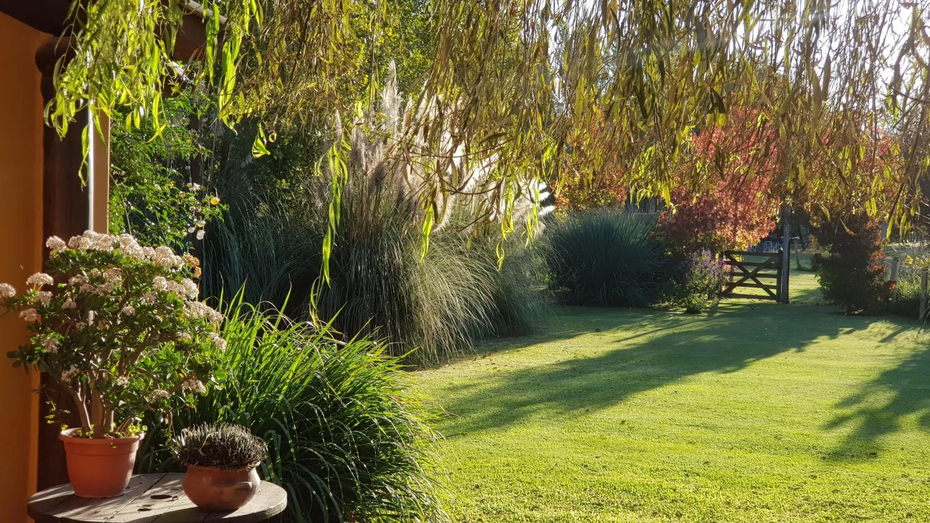 Garden in Posada del Santo Green & Rest - Cabañas