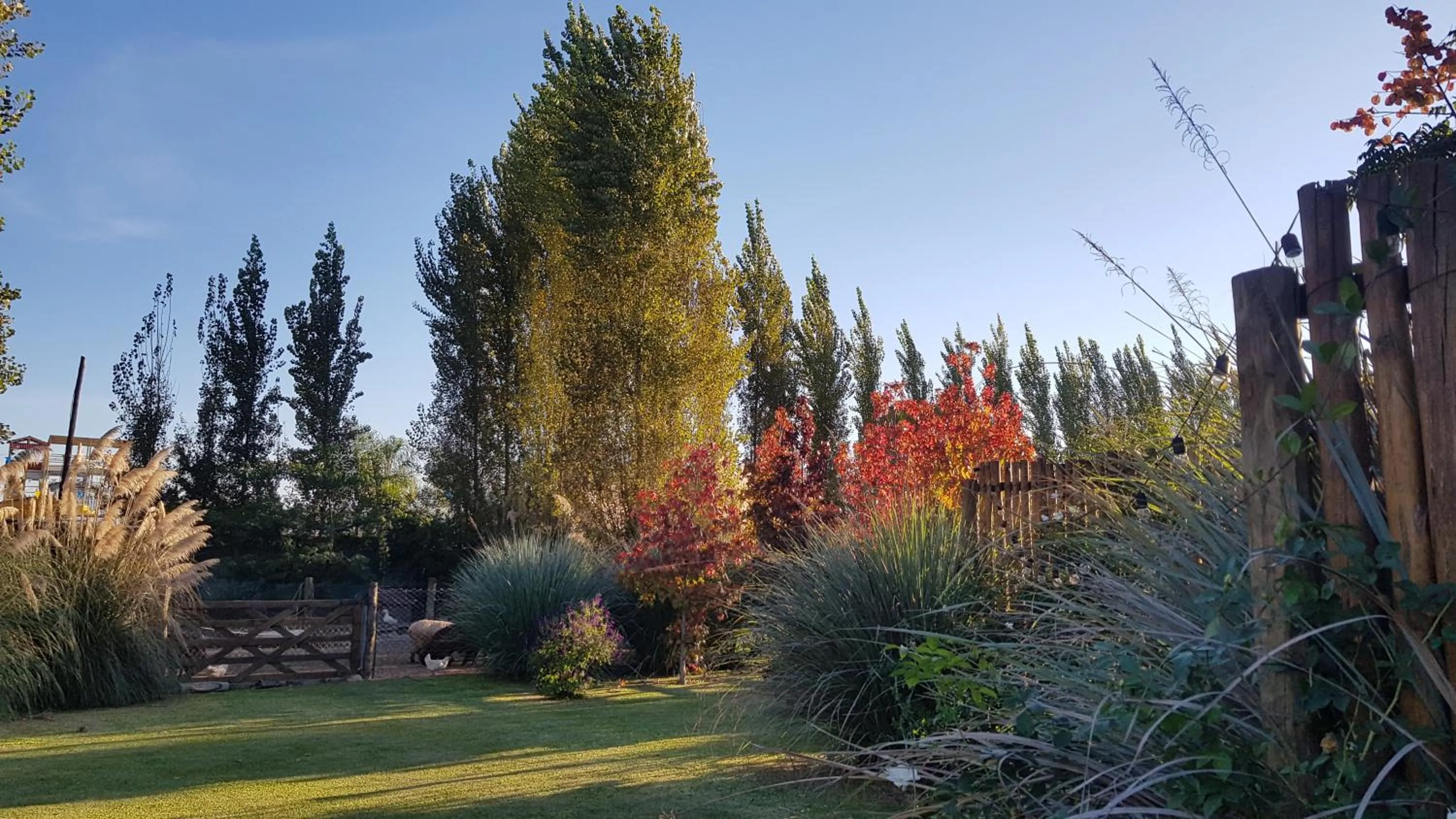 Spring in Posada del Santo Green & Rest - Cabañas