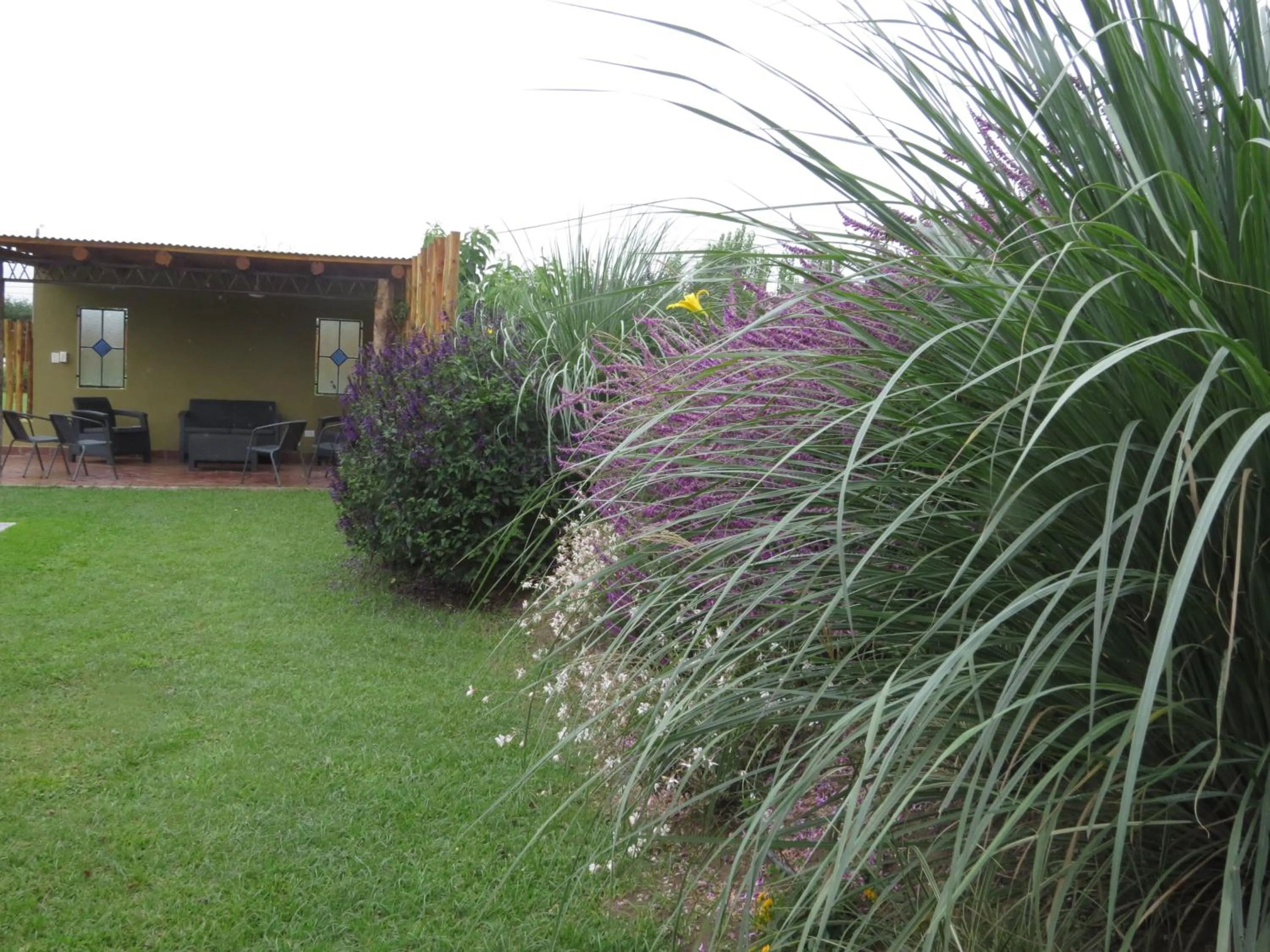 Garden view in Posada del Santo Green & Rest - Cabañas