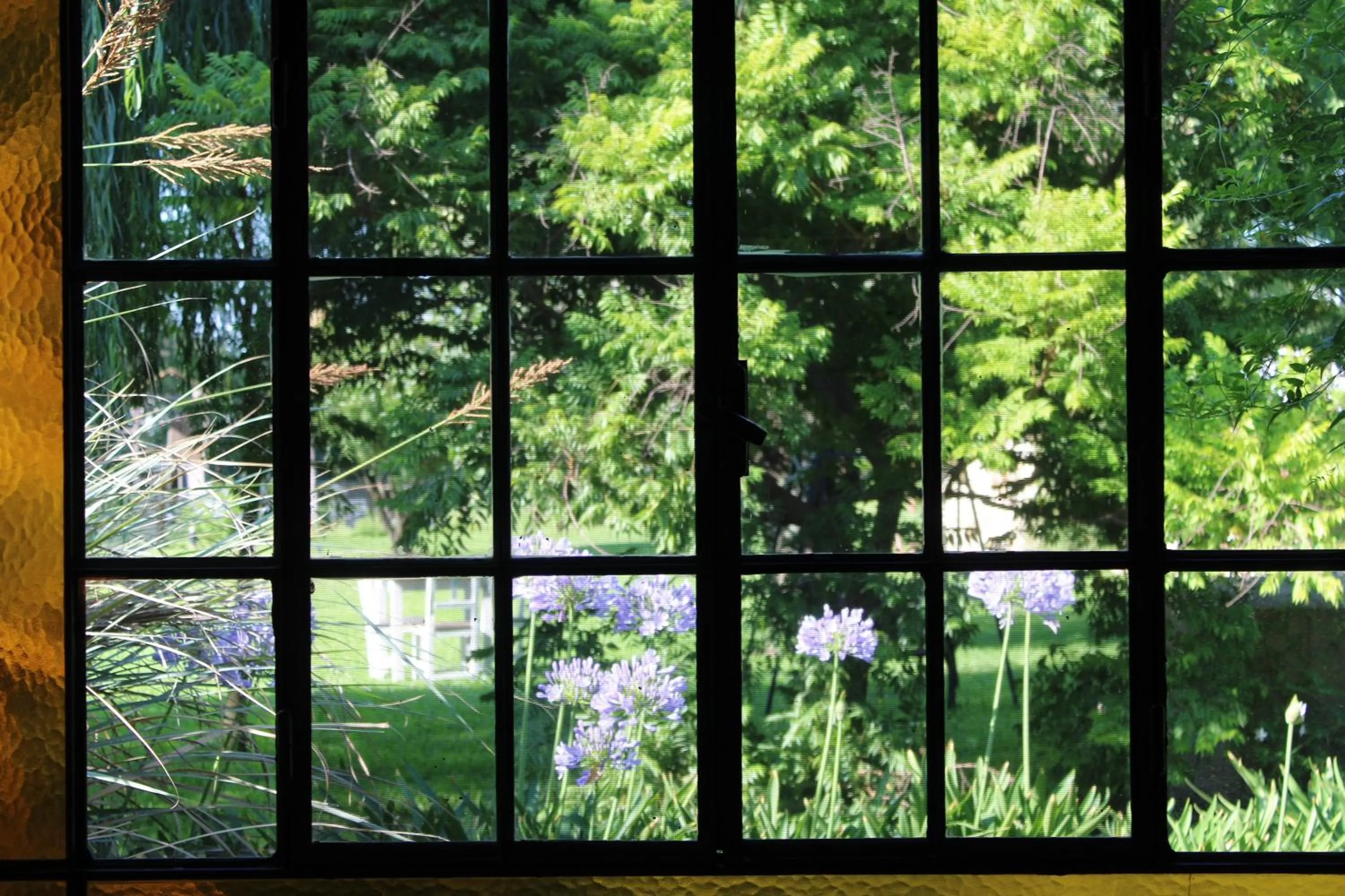 View (from property/room) in Posada del Santo Green & Rest - Cabañas
