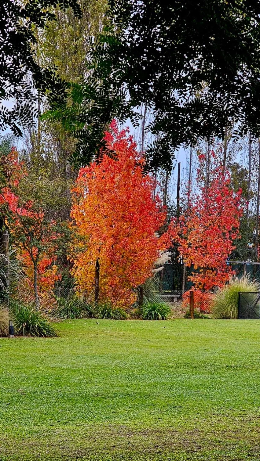 Natural landscape in Posada del Santo Green & Rest - Cabañas