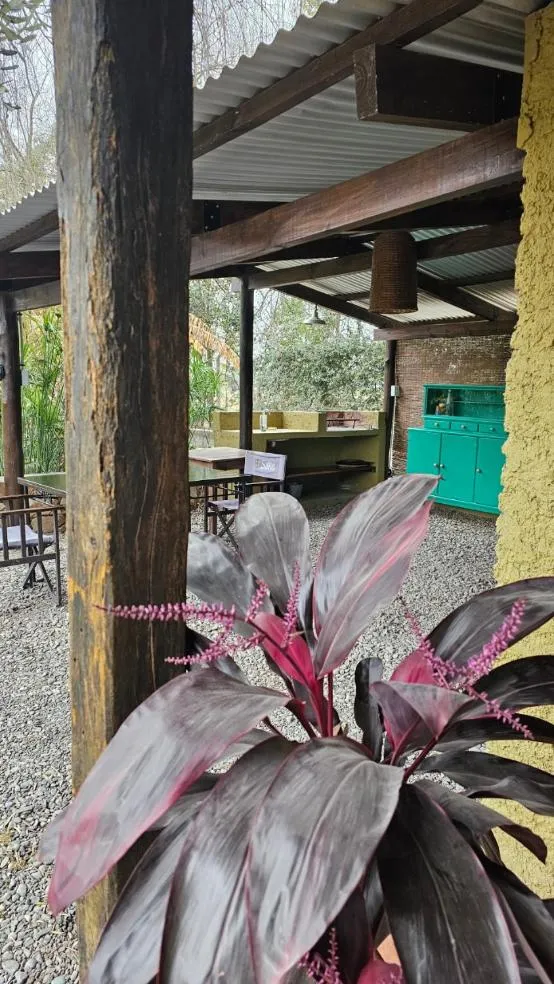 Garden view in Posada del Santo Green & Rest - Cabañas