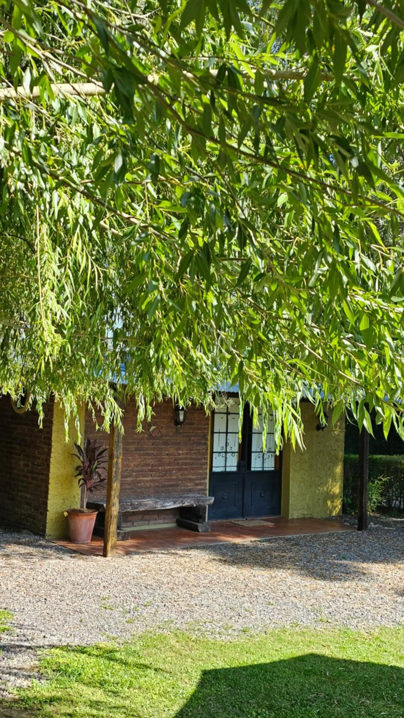 Garden view in Posada del Santo Green & Rest - Cabañas