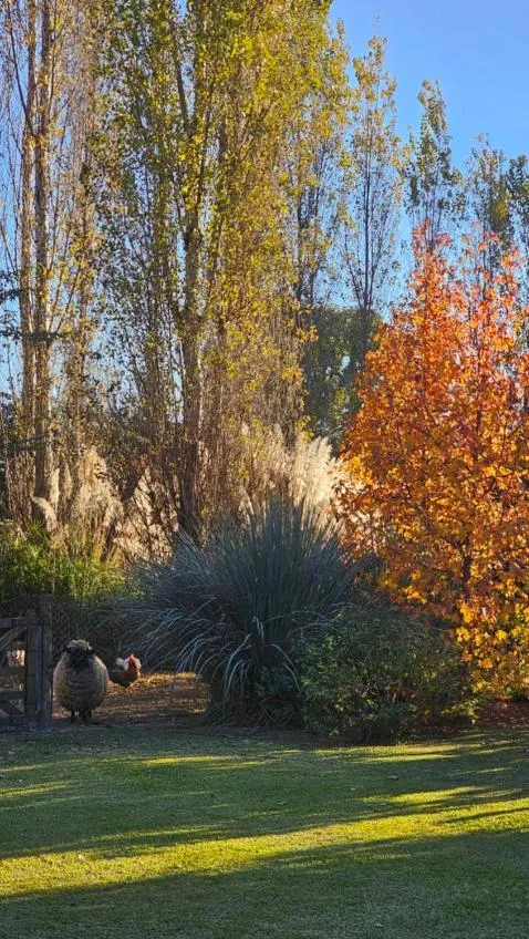 Garden in Posada del Santo Green & Rest - Cabañas