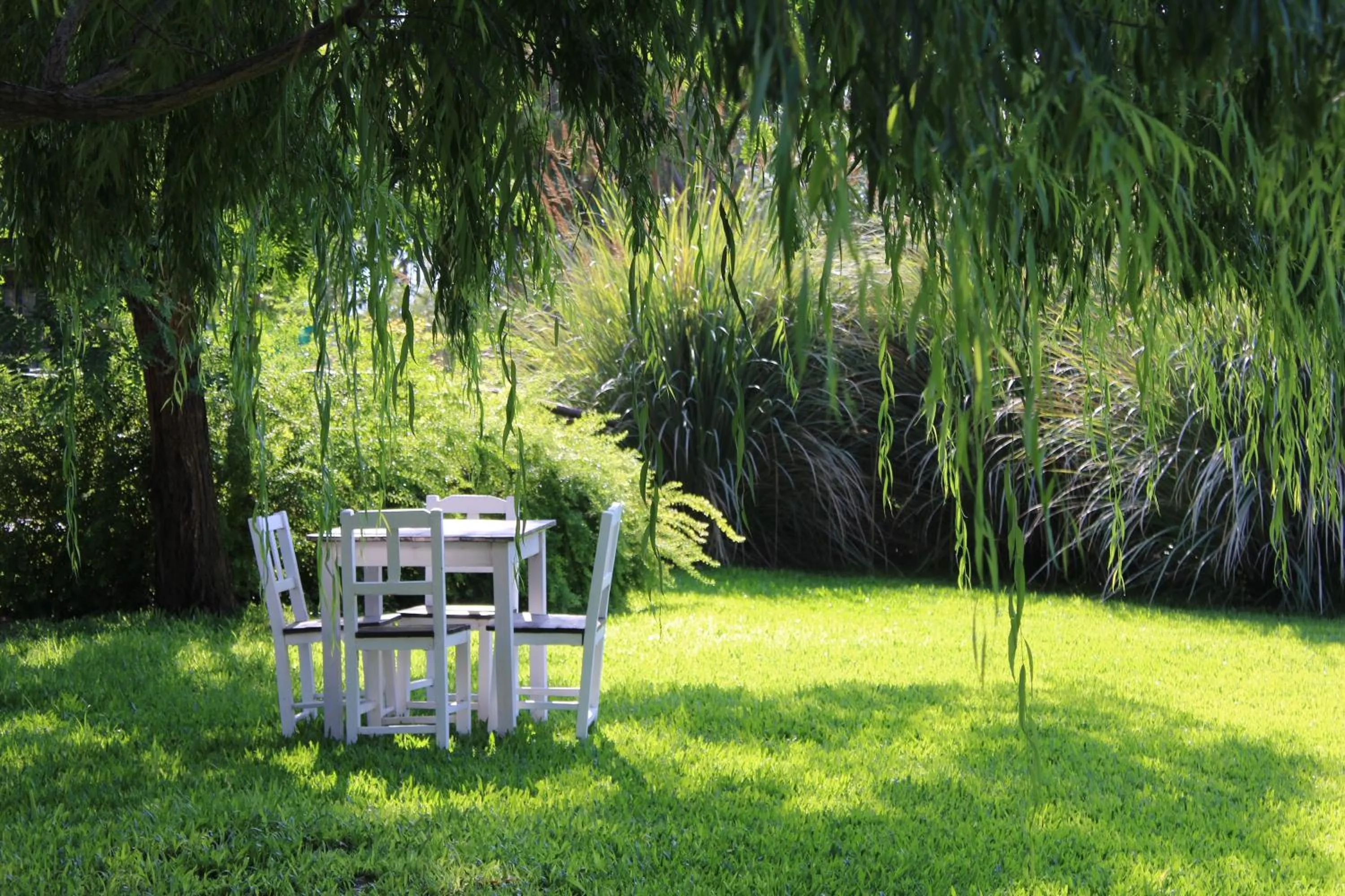 Garden in Posada del Santo Green & Rest - Cabañas
