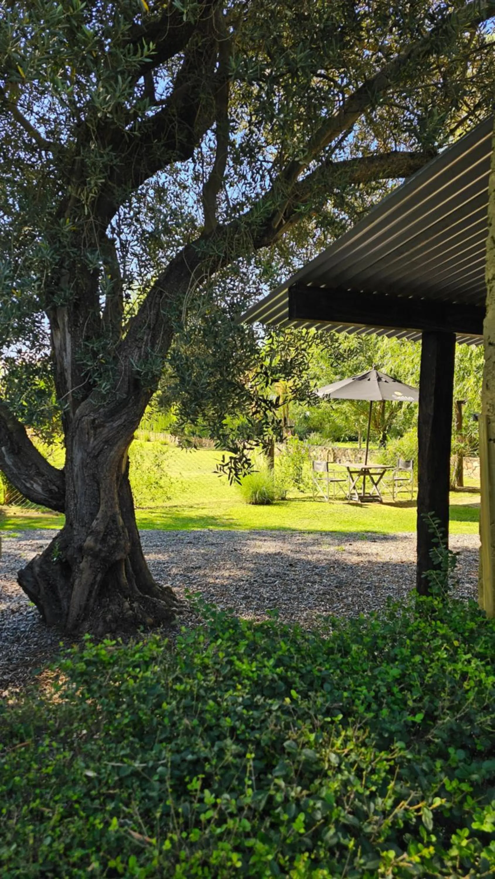 Garden in Posada del Santo Green & Rest - Cabañas