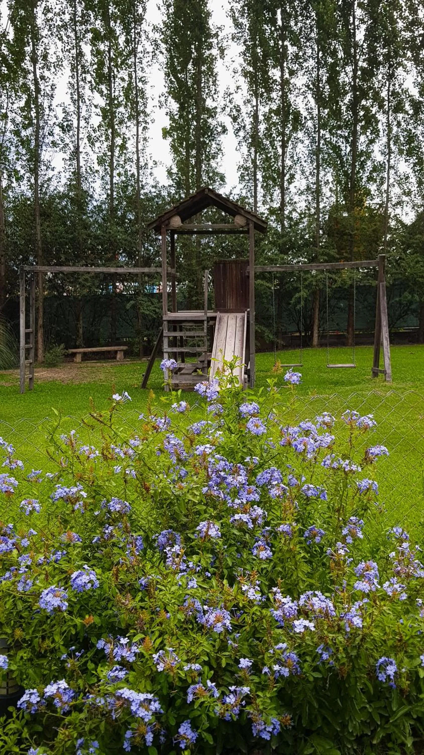Garden in Posada del Santo Green & Rest - Cabañas