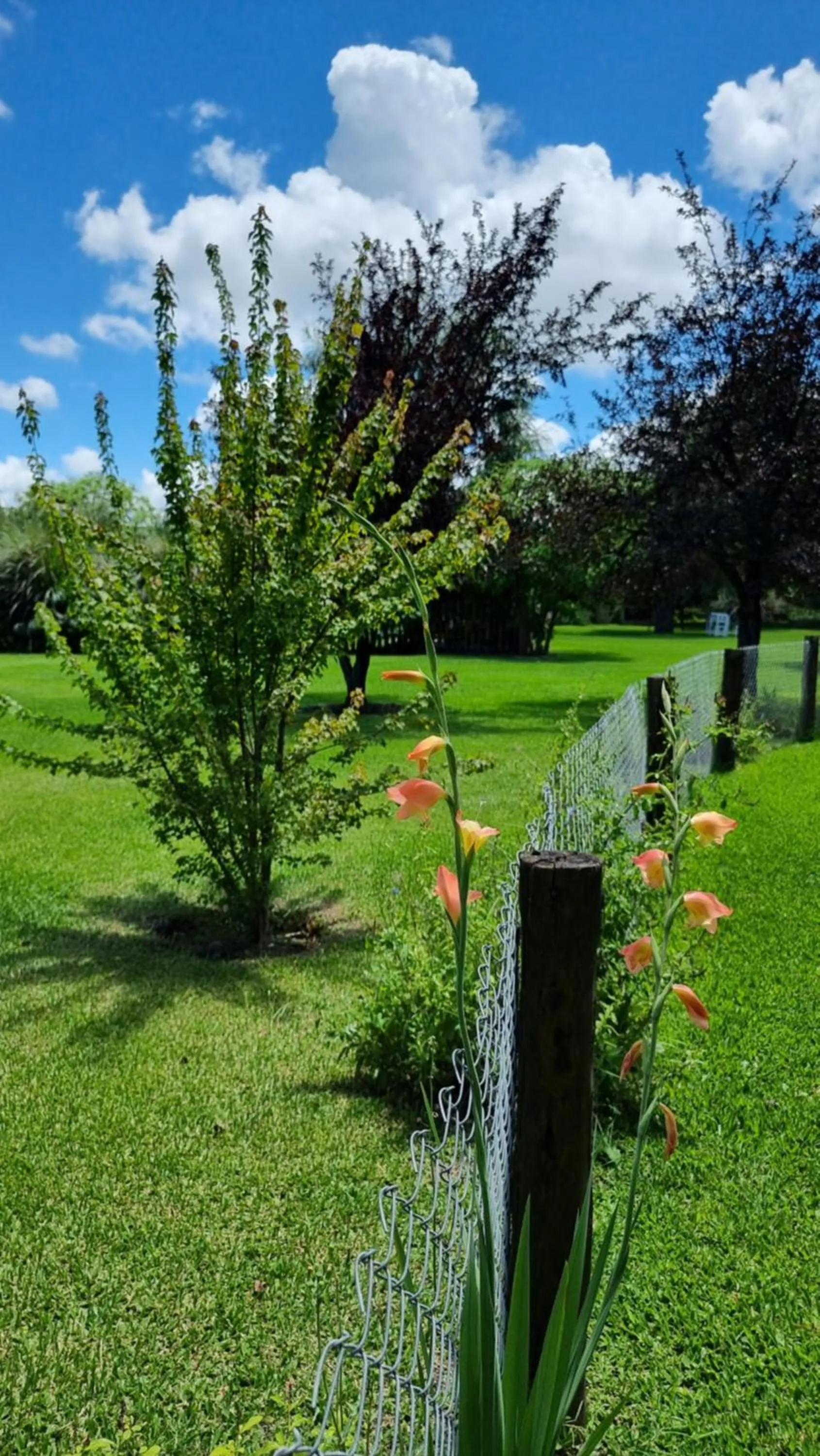 Garden in Posada del Santo Green & Rest - Cabañas