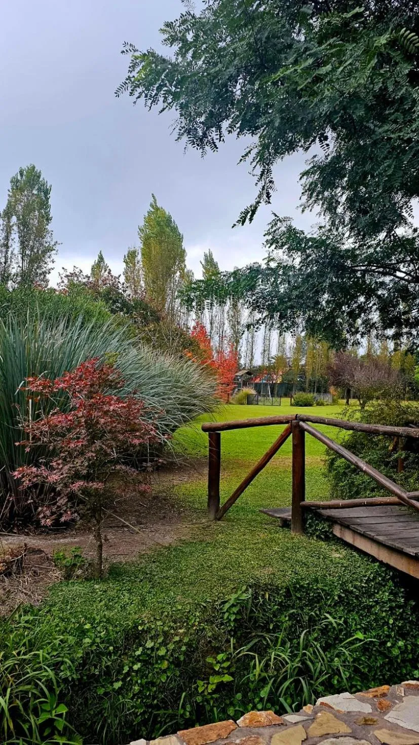 Garden view in Posada del Santo Green & Rest - Cabañas
