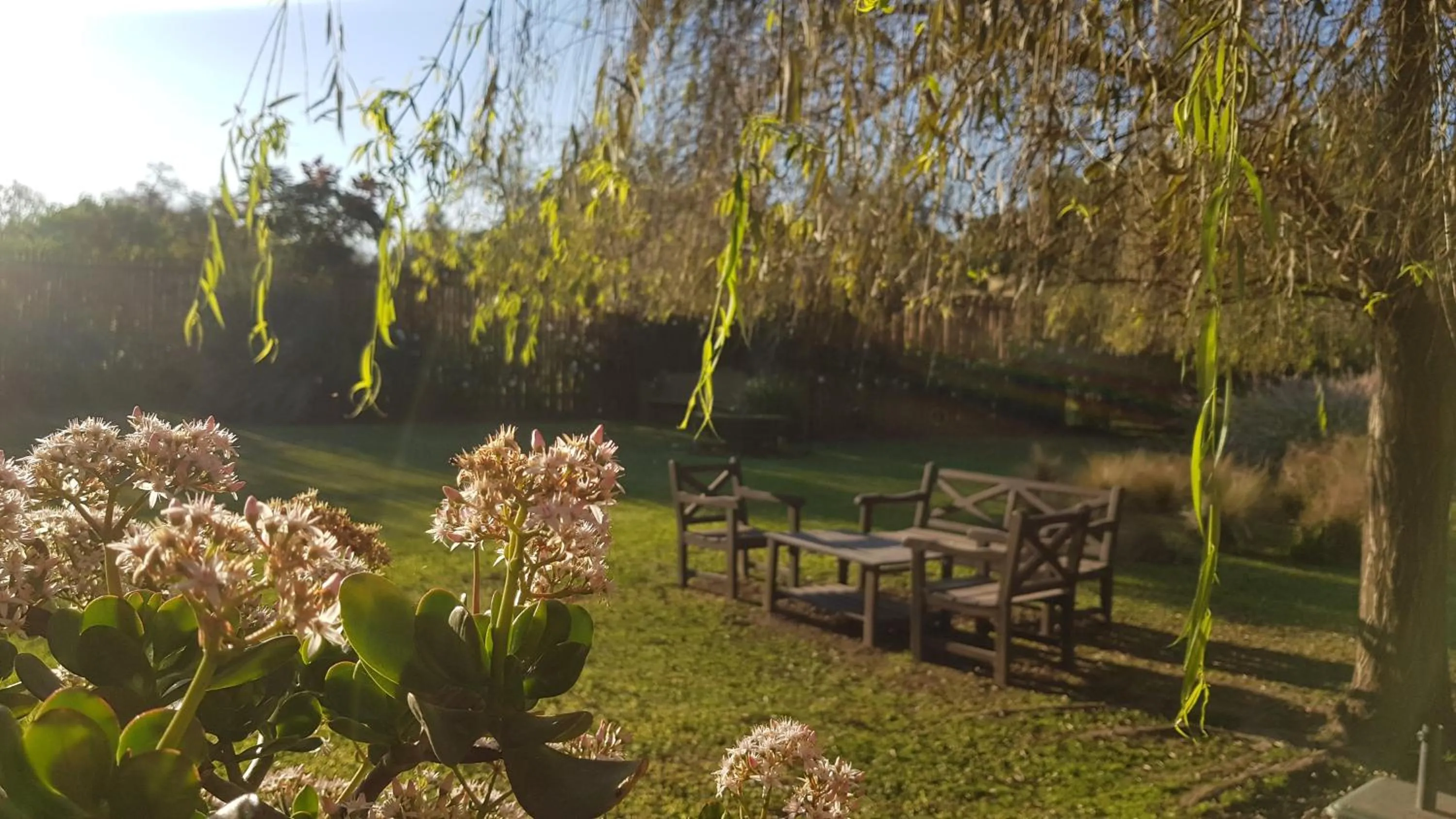 Garden in Posada del Santo Green & Rest - Cabañas