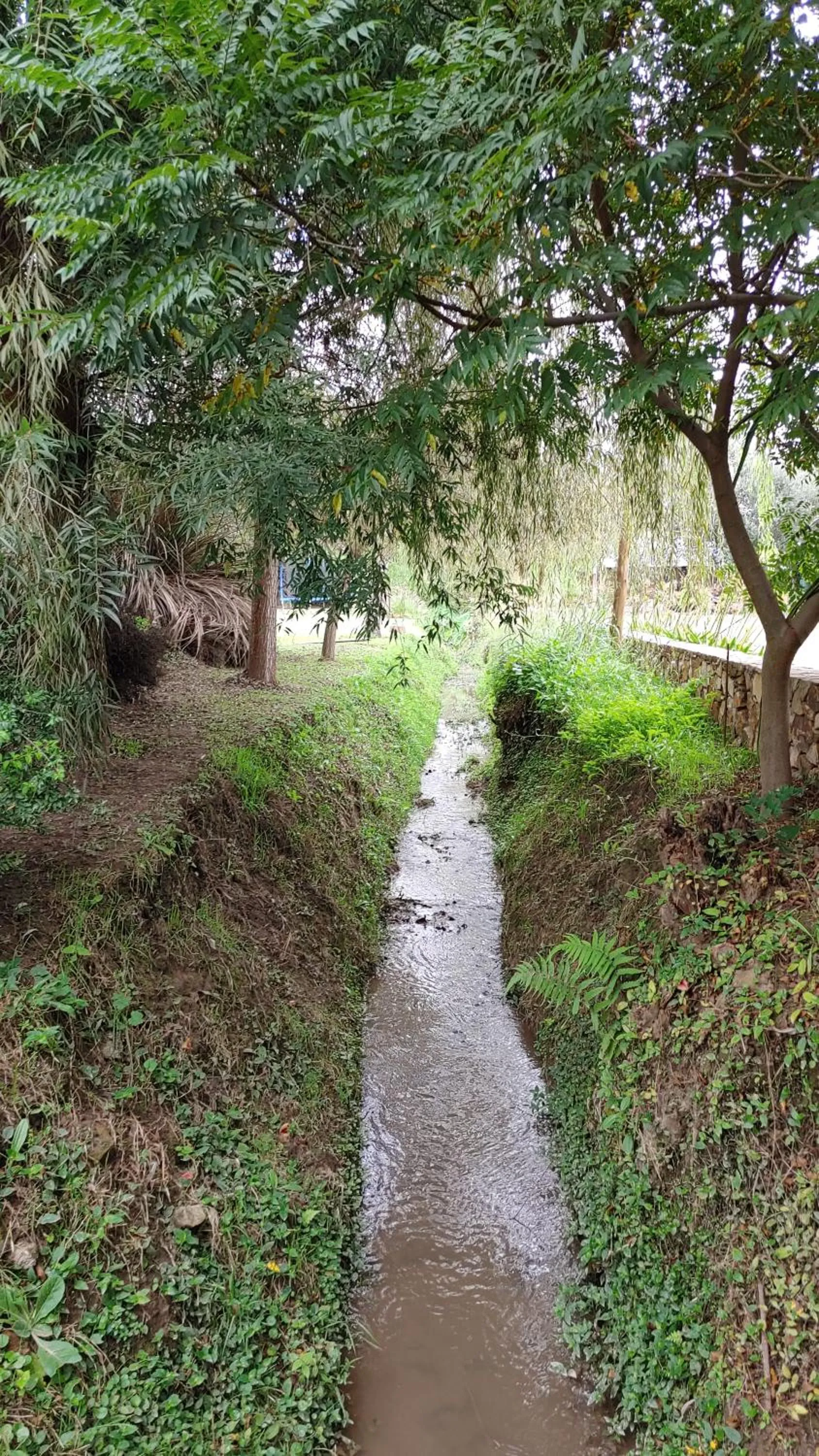 Natural landscape in Posada del Santo Green & Rest - Cabañas