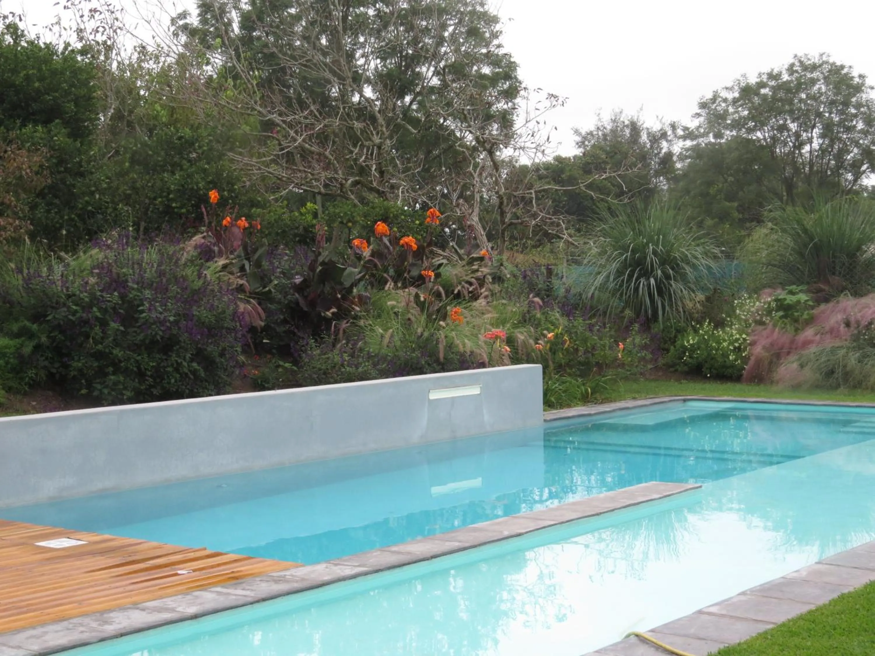 Pool view in Posada del Santo Green & Rest - Cabañas