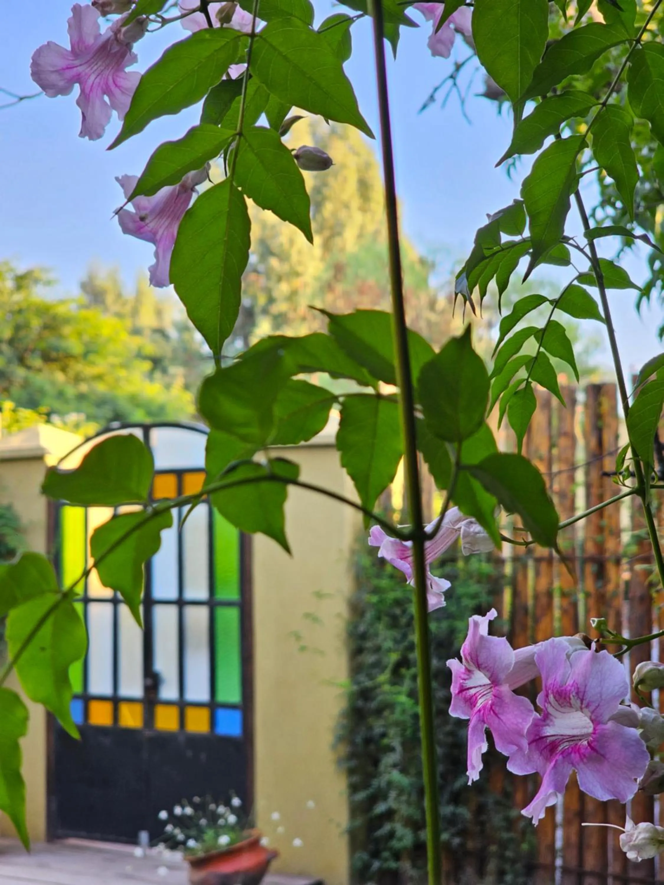 Garden in Posada del Santo Green & Rest - Cabañas