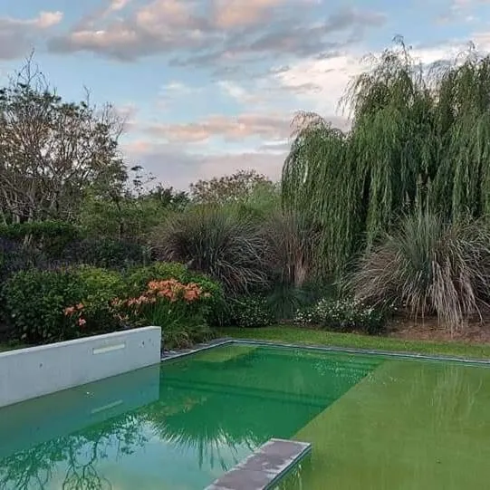 Garden view in Posada del Santo Green & Rest - Cabañas