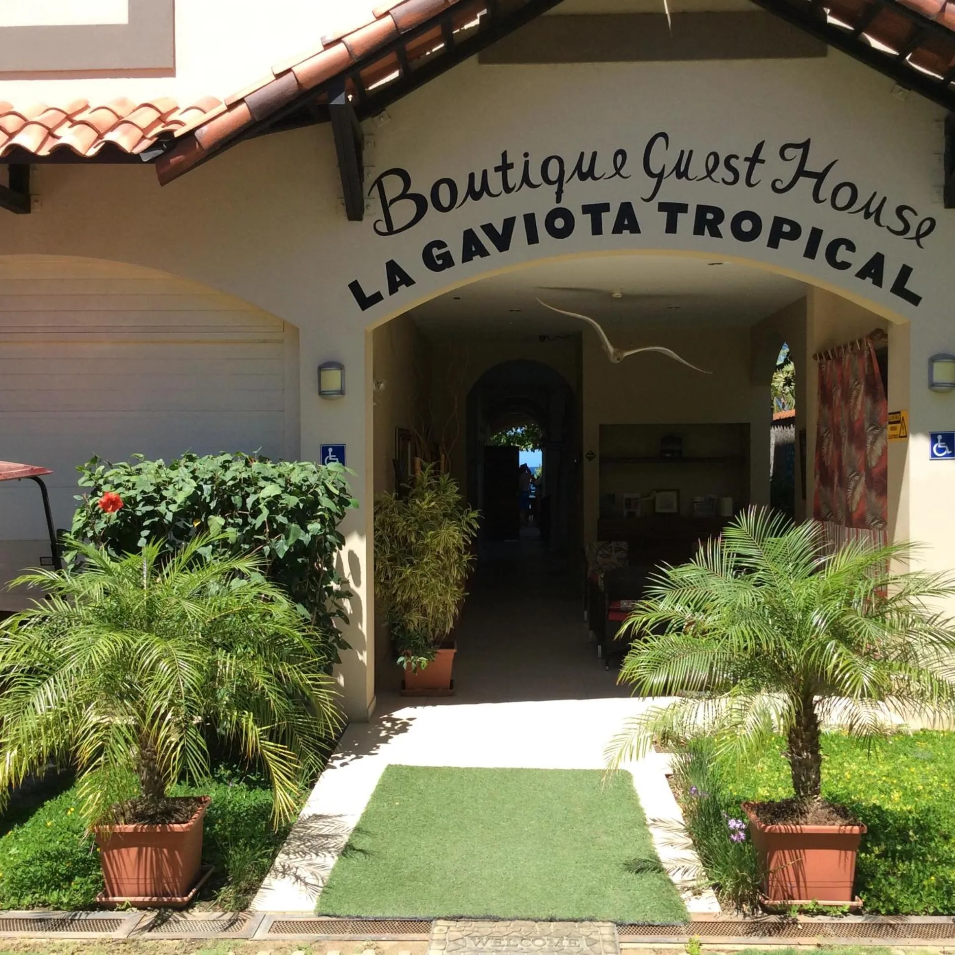 Hotel La Gaviota Tropical