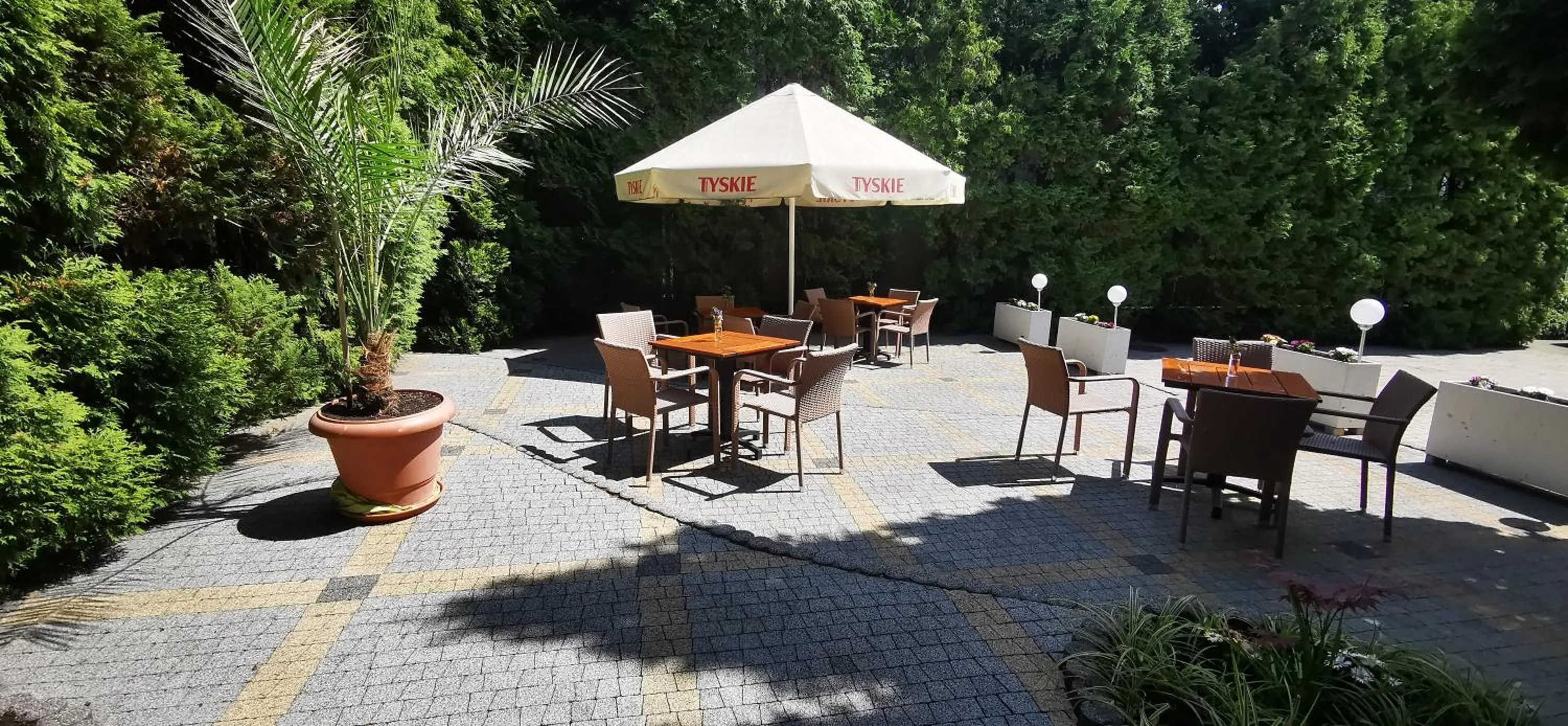 Garden in Hotel Daria