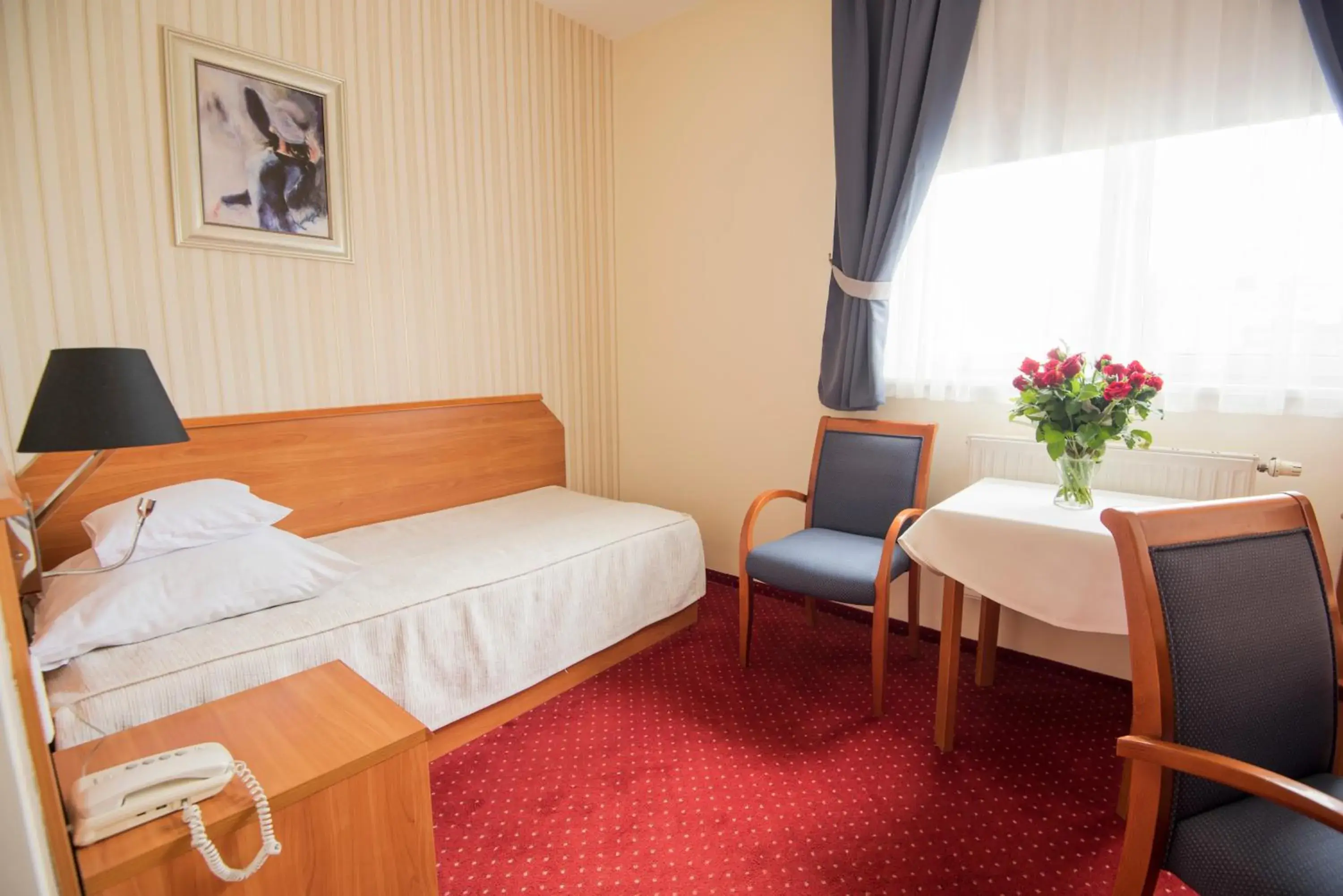 Single Room in Hotel Daria Single Room in Hotel Daria