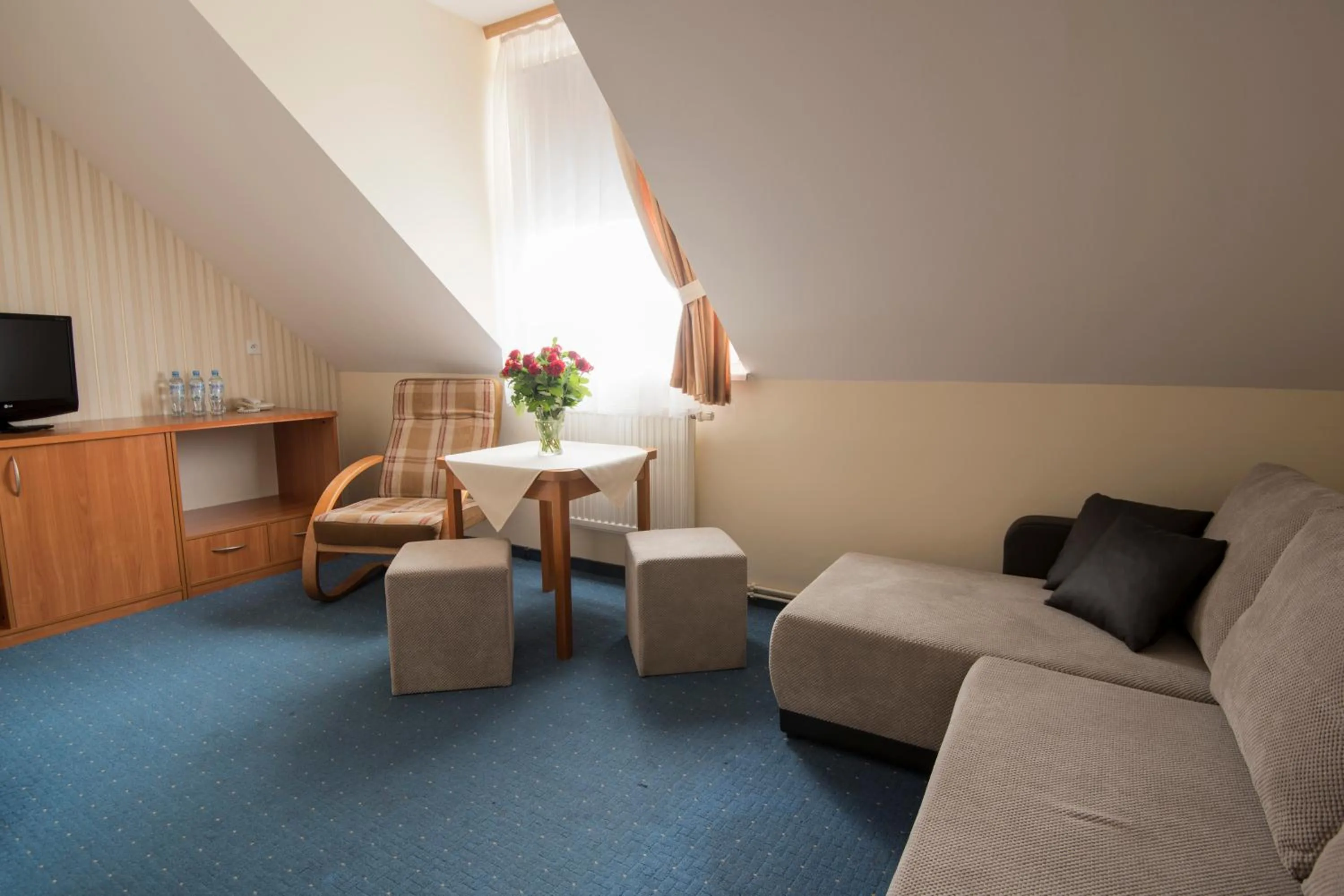 TV and multimedia in Hotel Daria