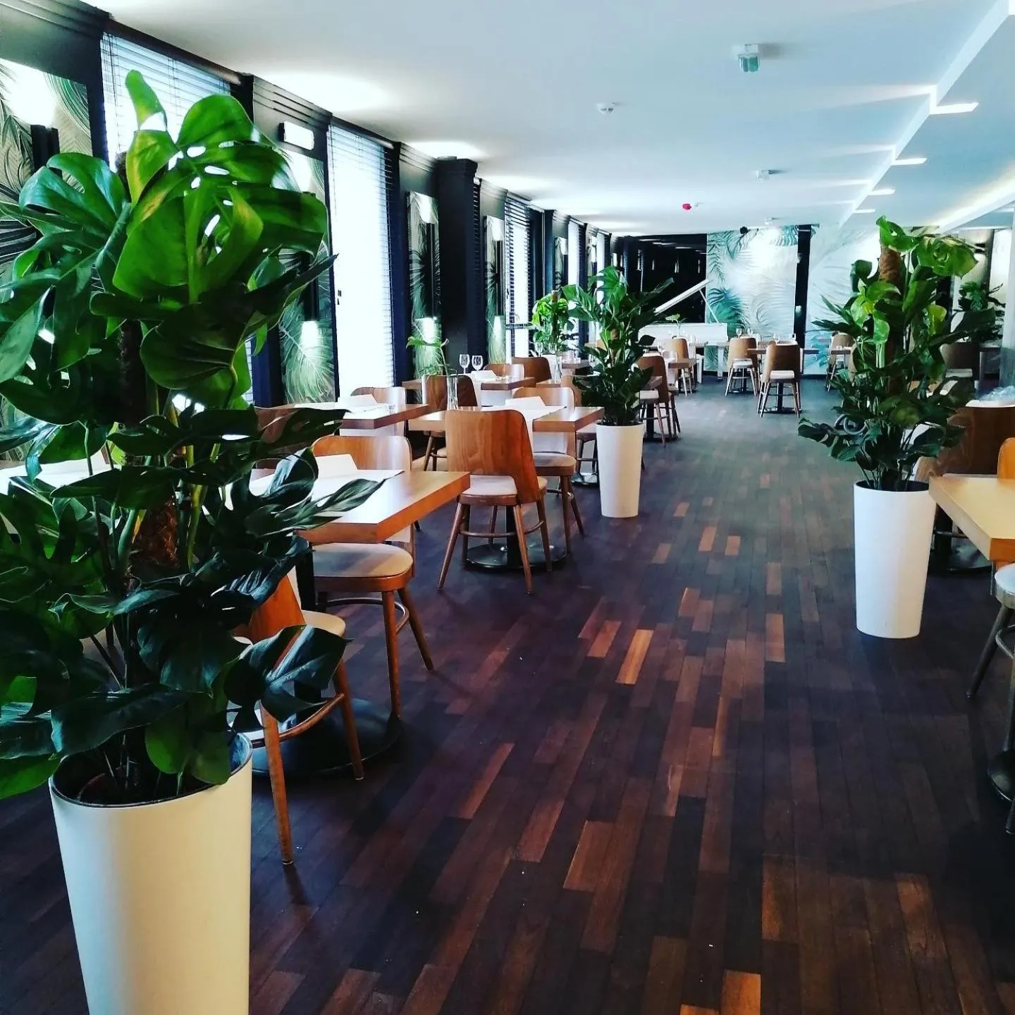 Restaurant/places to eat in Arena Hotel Spa & Wellness