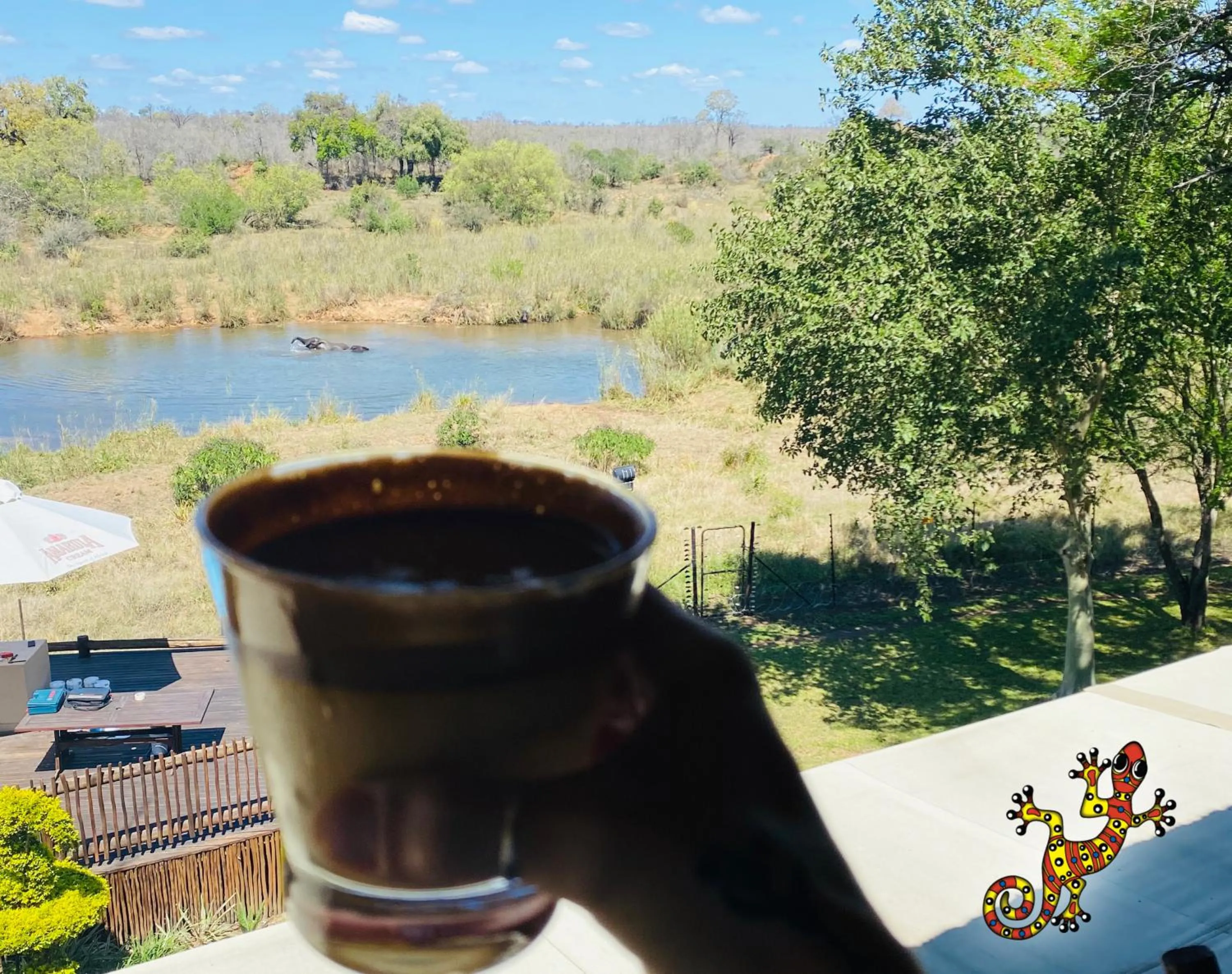 Garden view in Sabie River Bush Lodge
