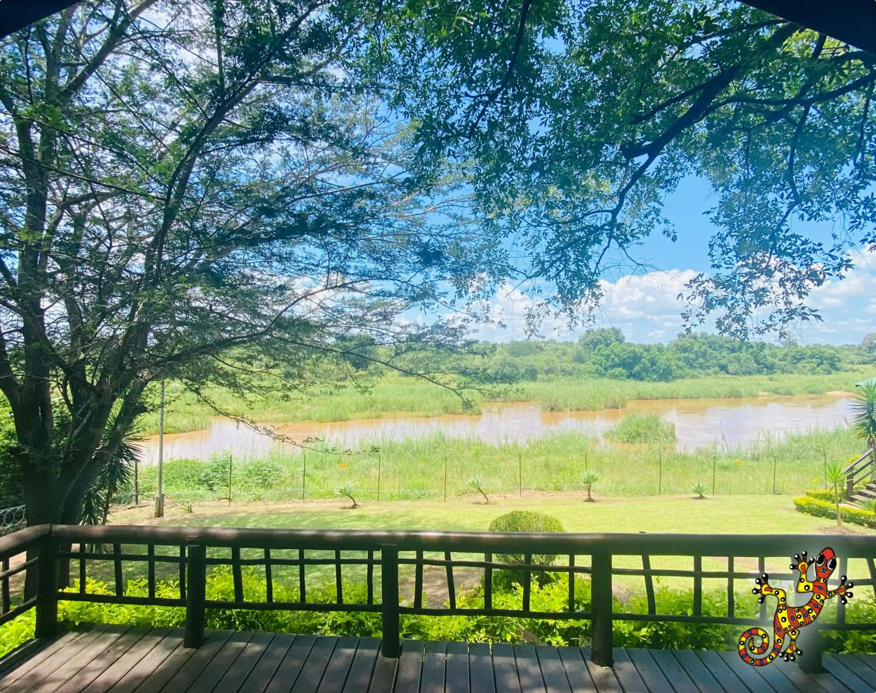 View (from property/room) in Sabie River Bush Lodge