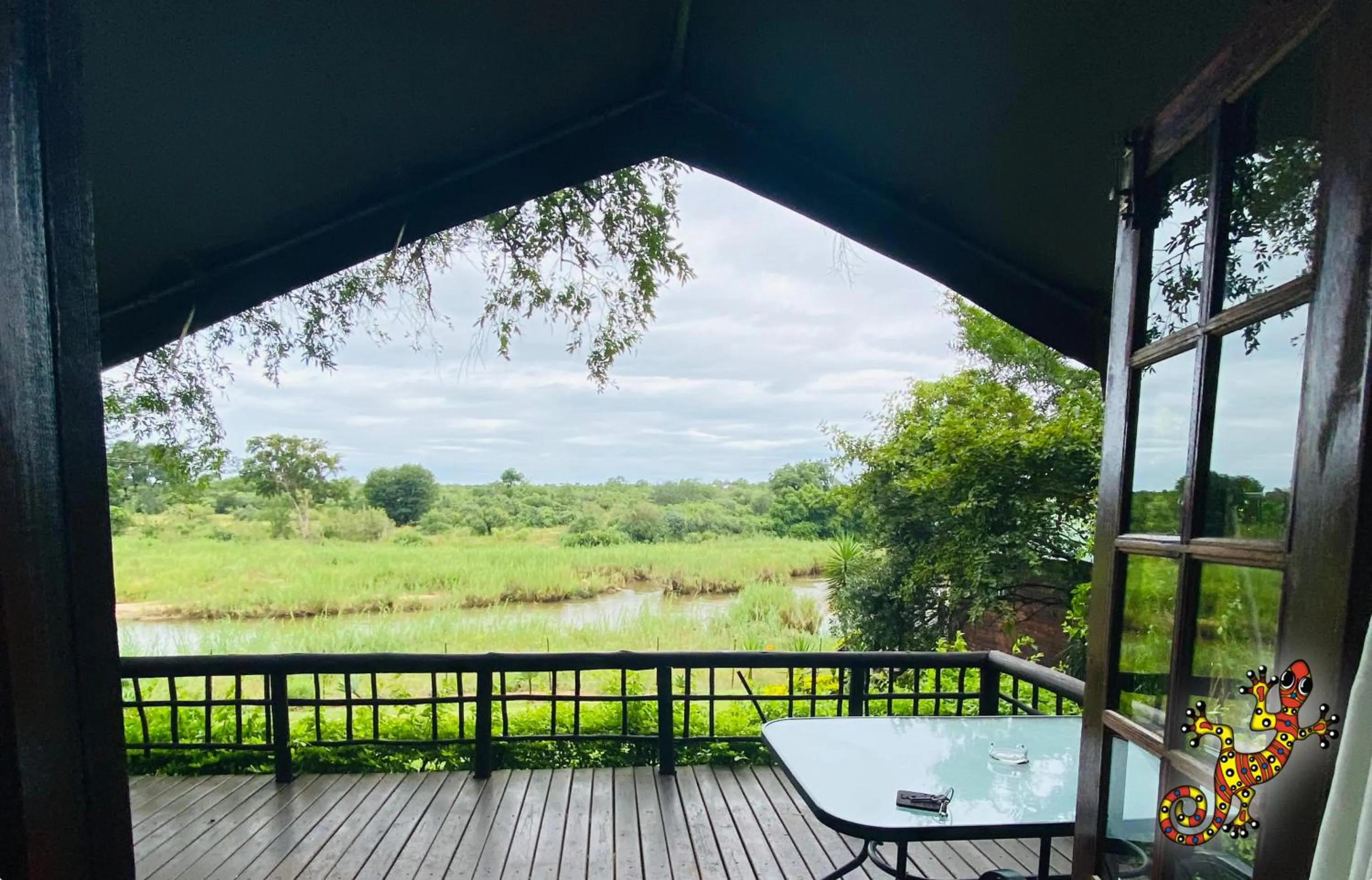 View (from property/room) in Sabie River Bush Lodge
