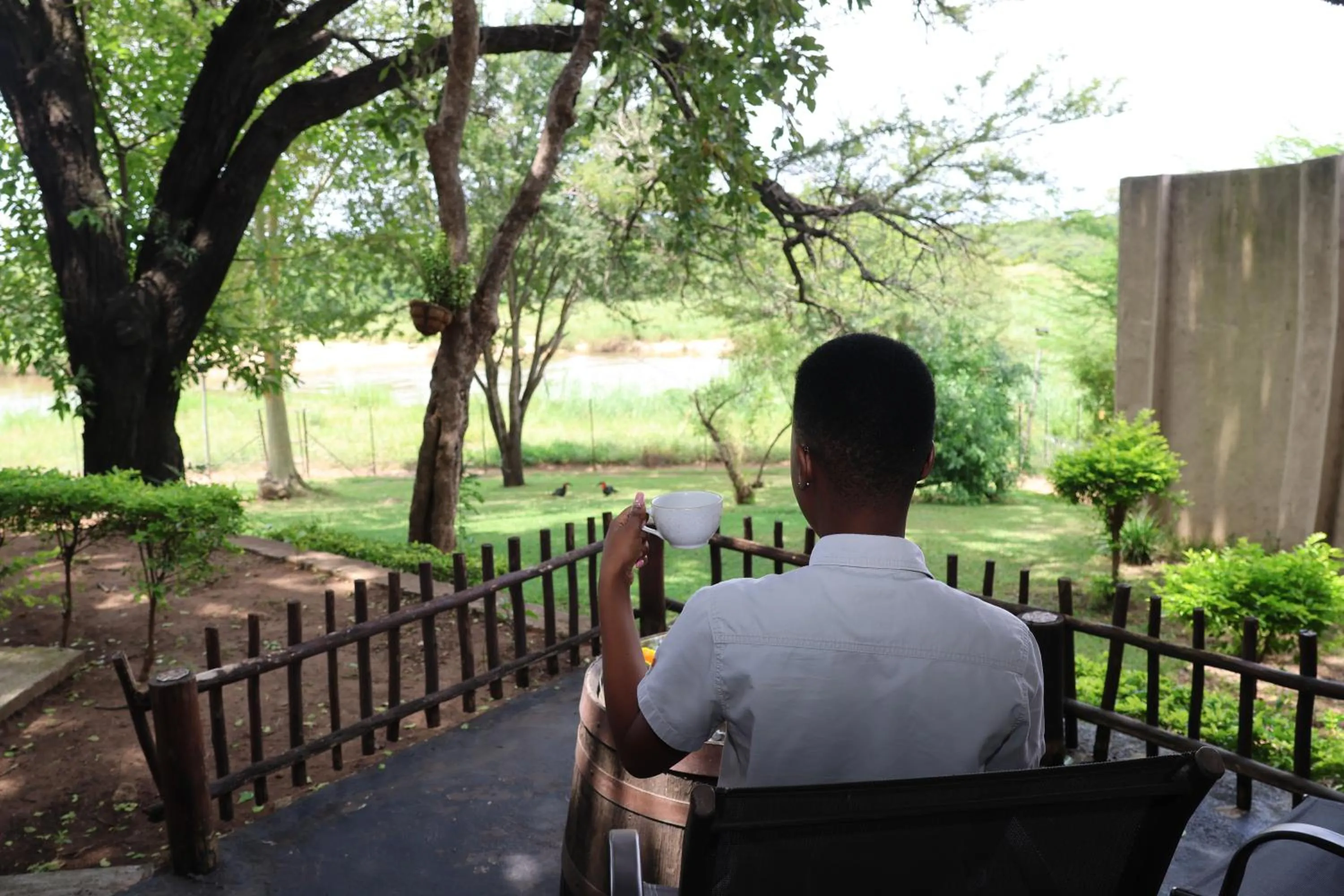 Garden view in Sabie River Bush Lodge