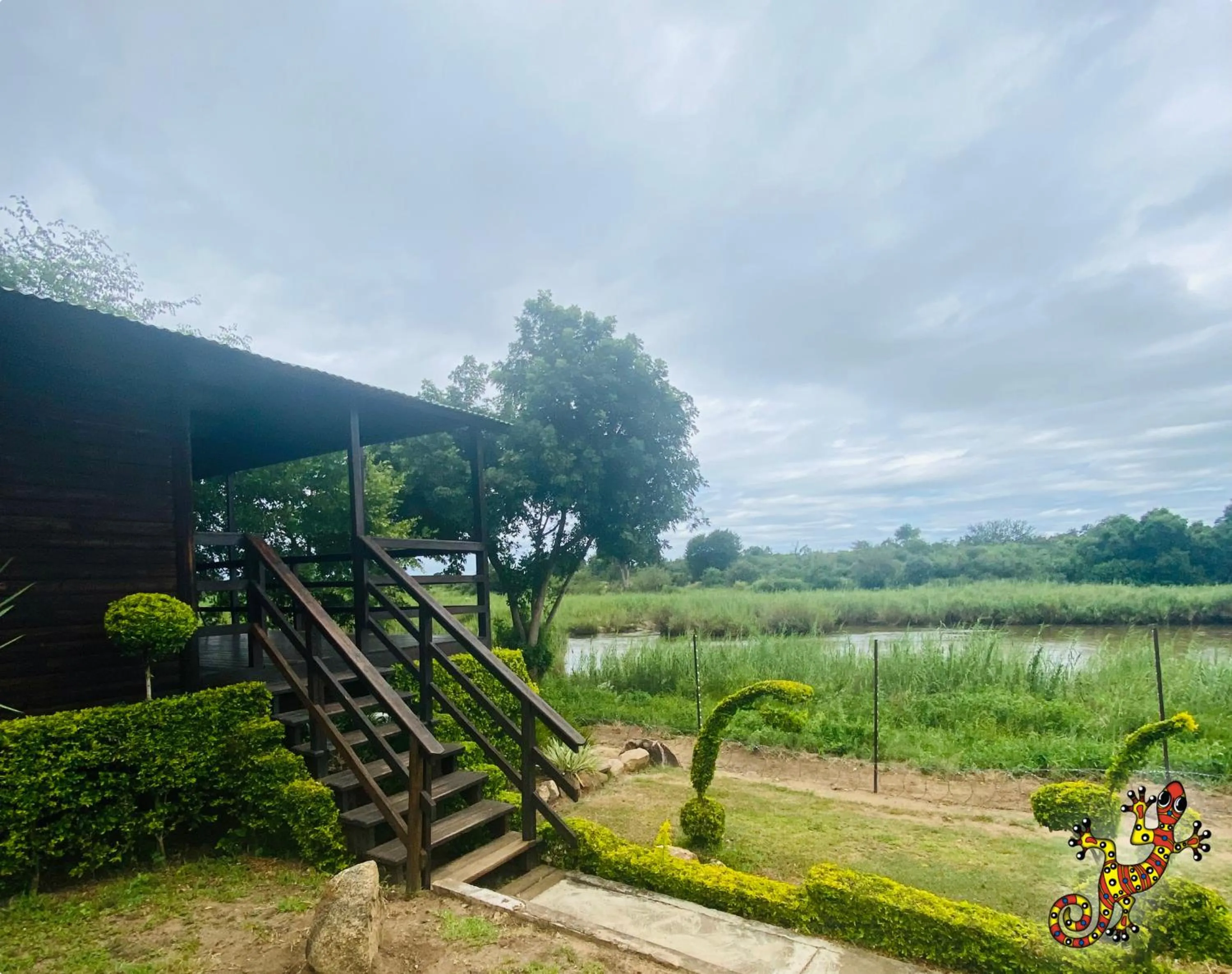 View (from property/room) in Sabie River Bush Lodge